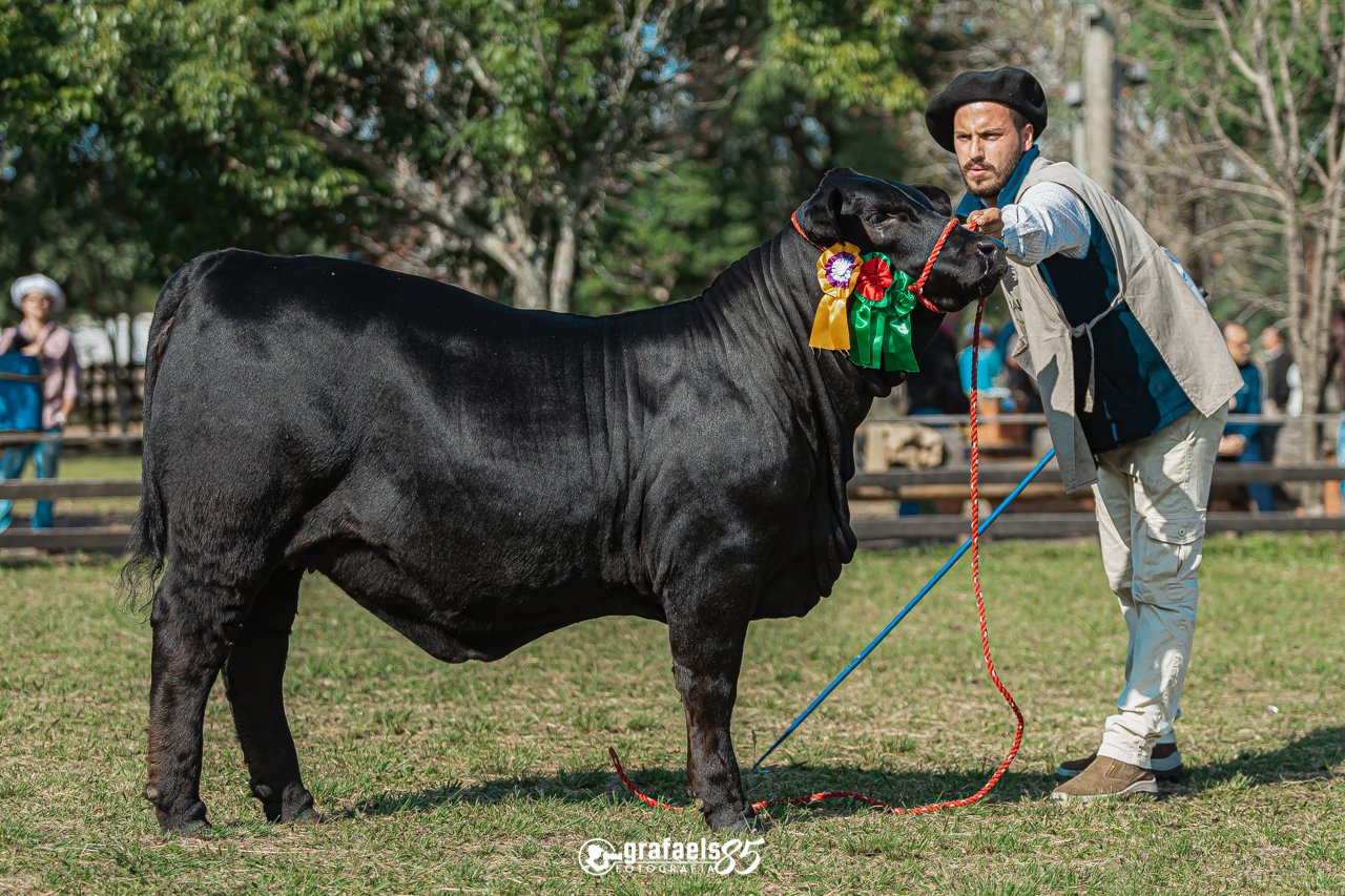 Julgamento Argola