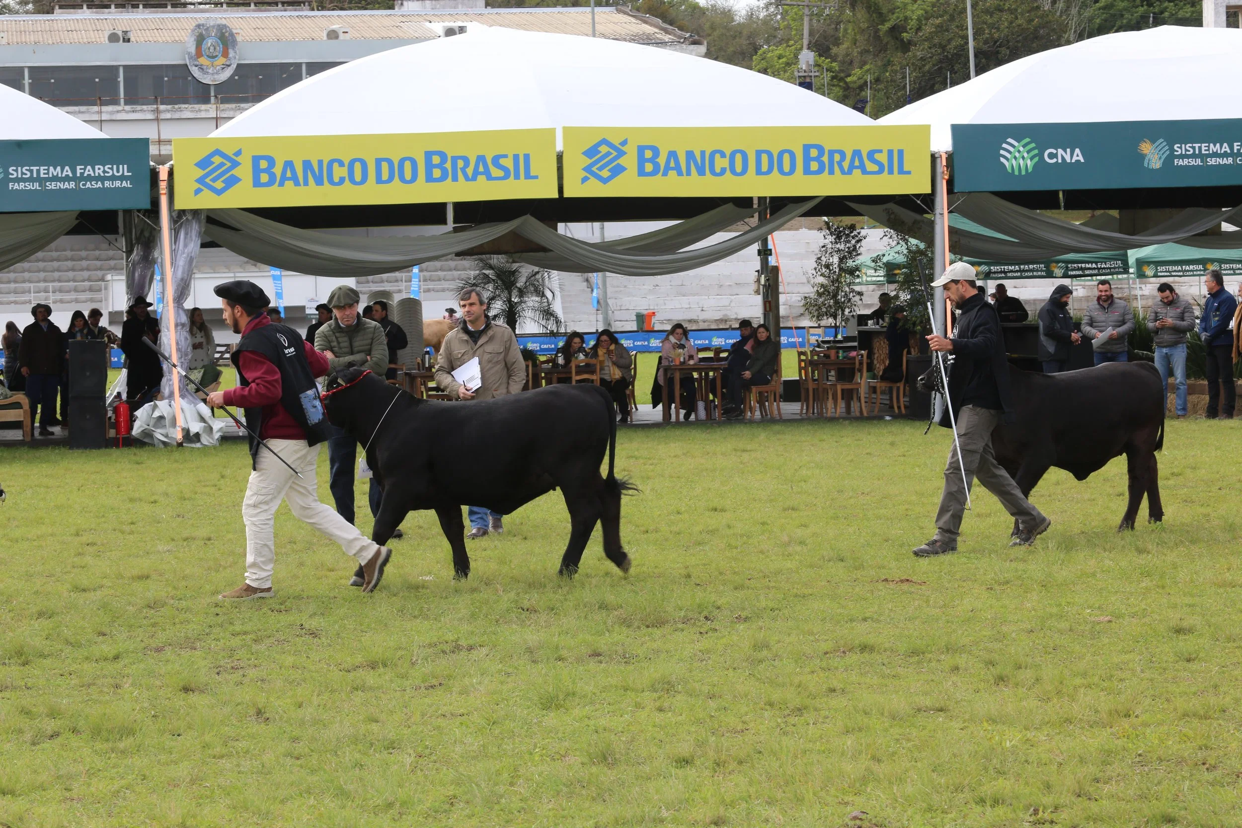 45º Expointer