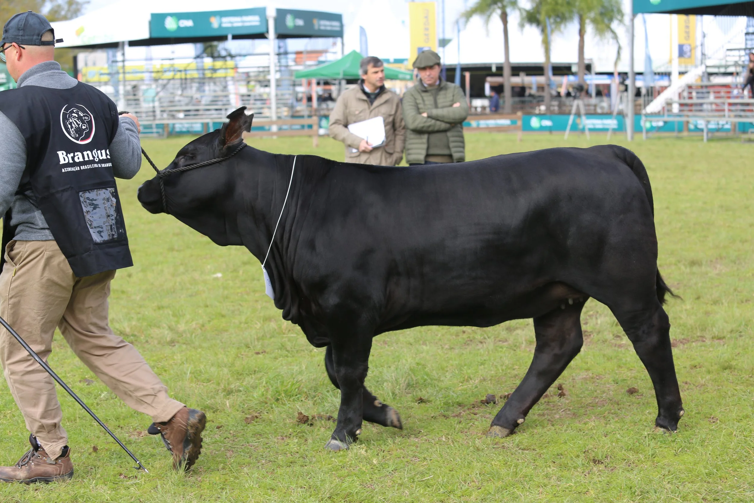 45º Expointer
