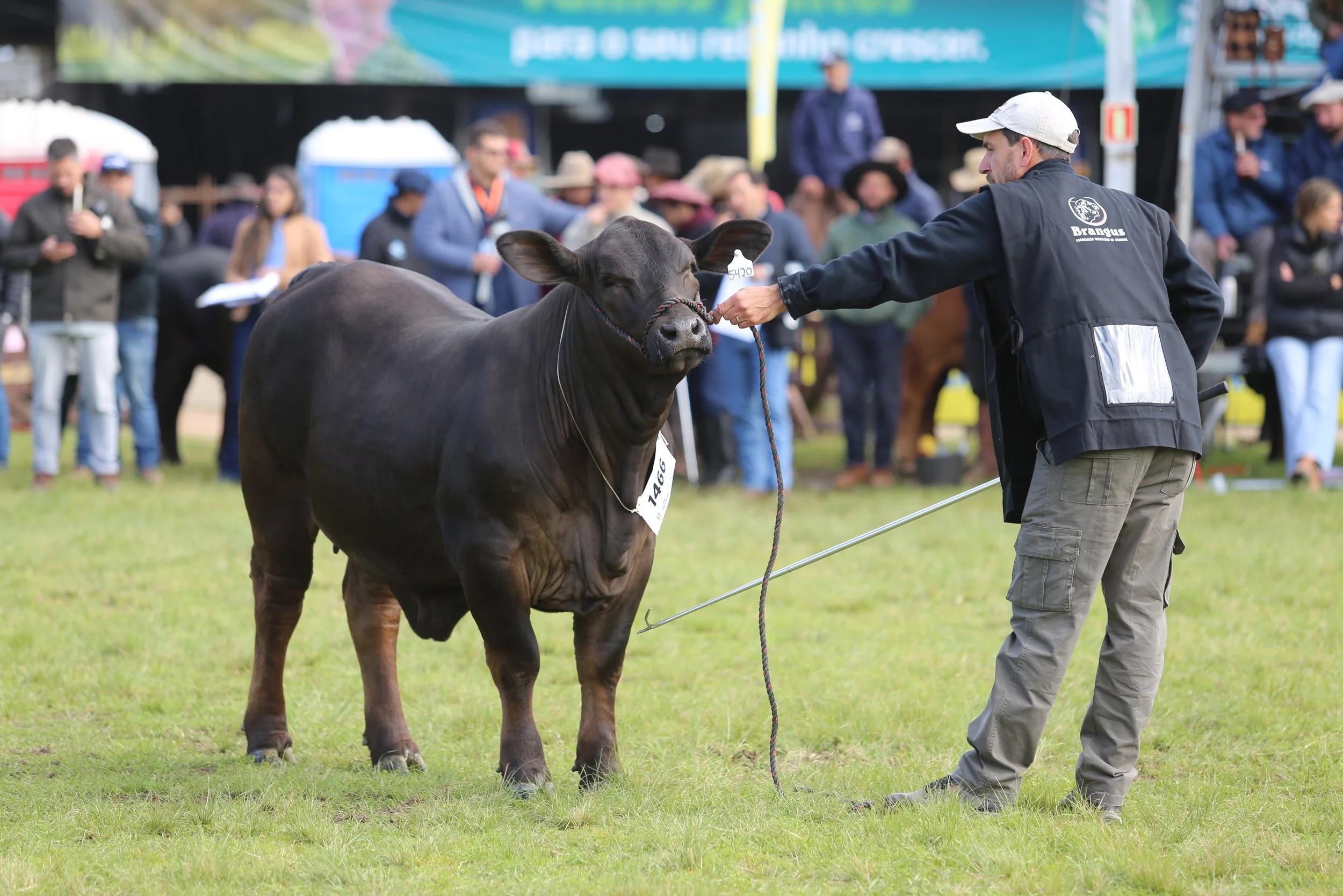 45º Expointer