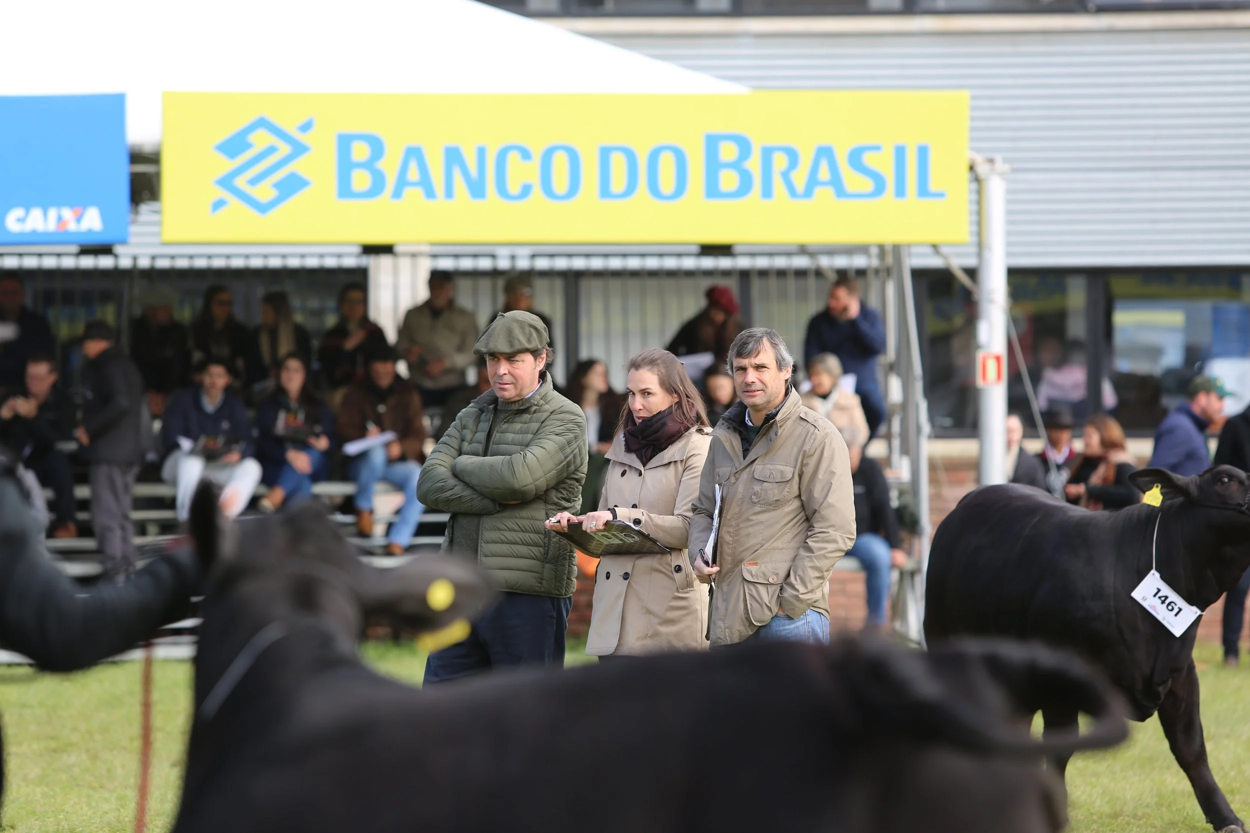 45º Expointer