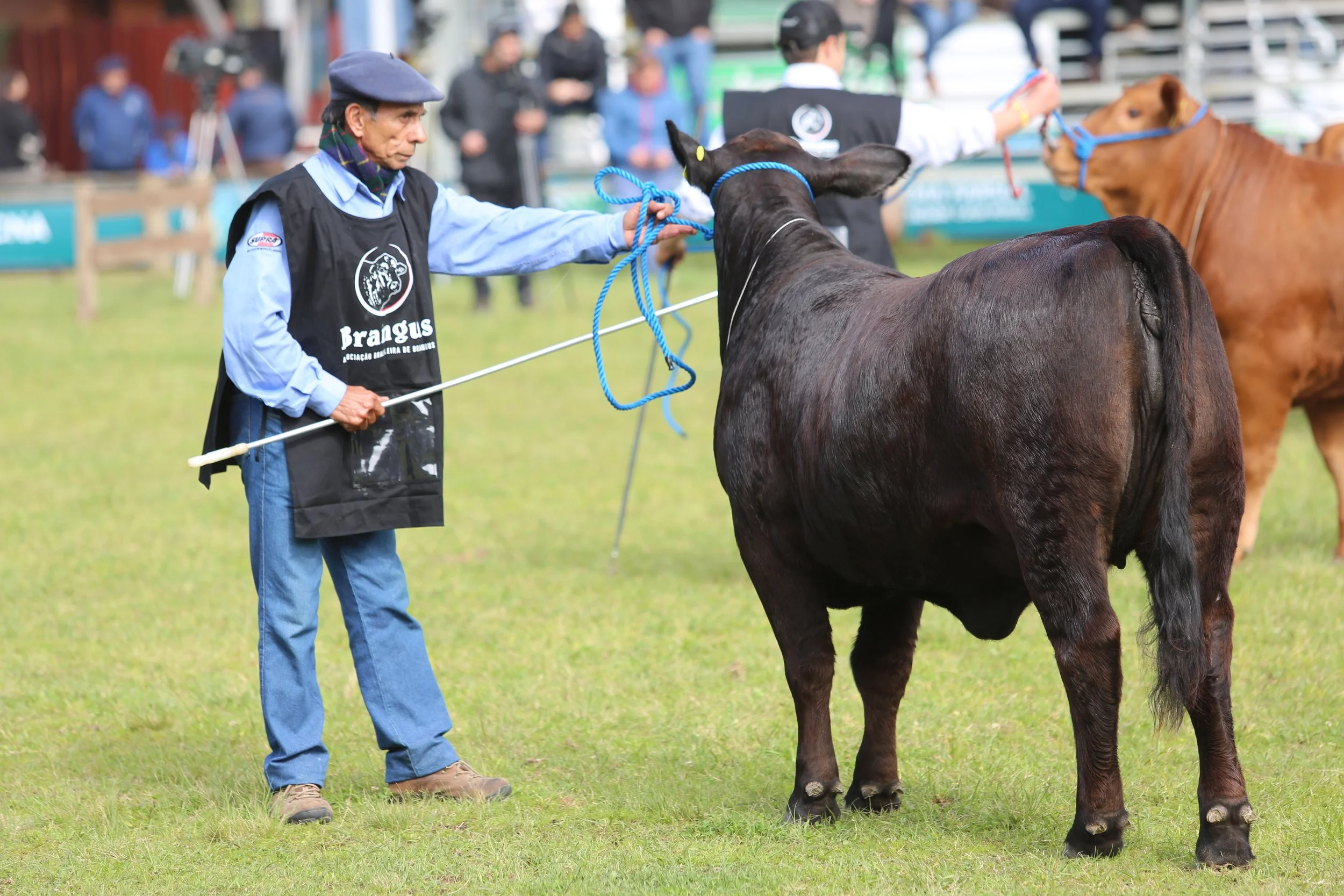 45º Expointer