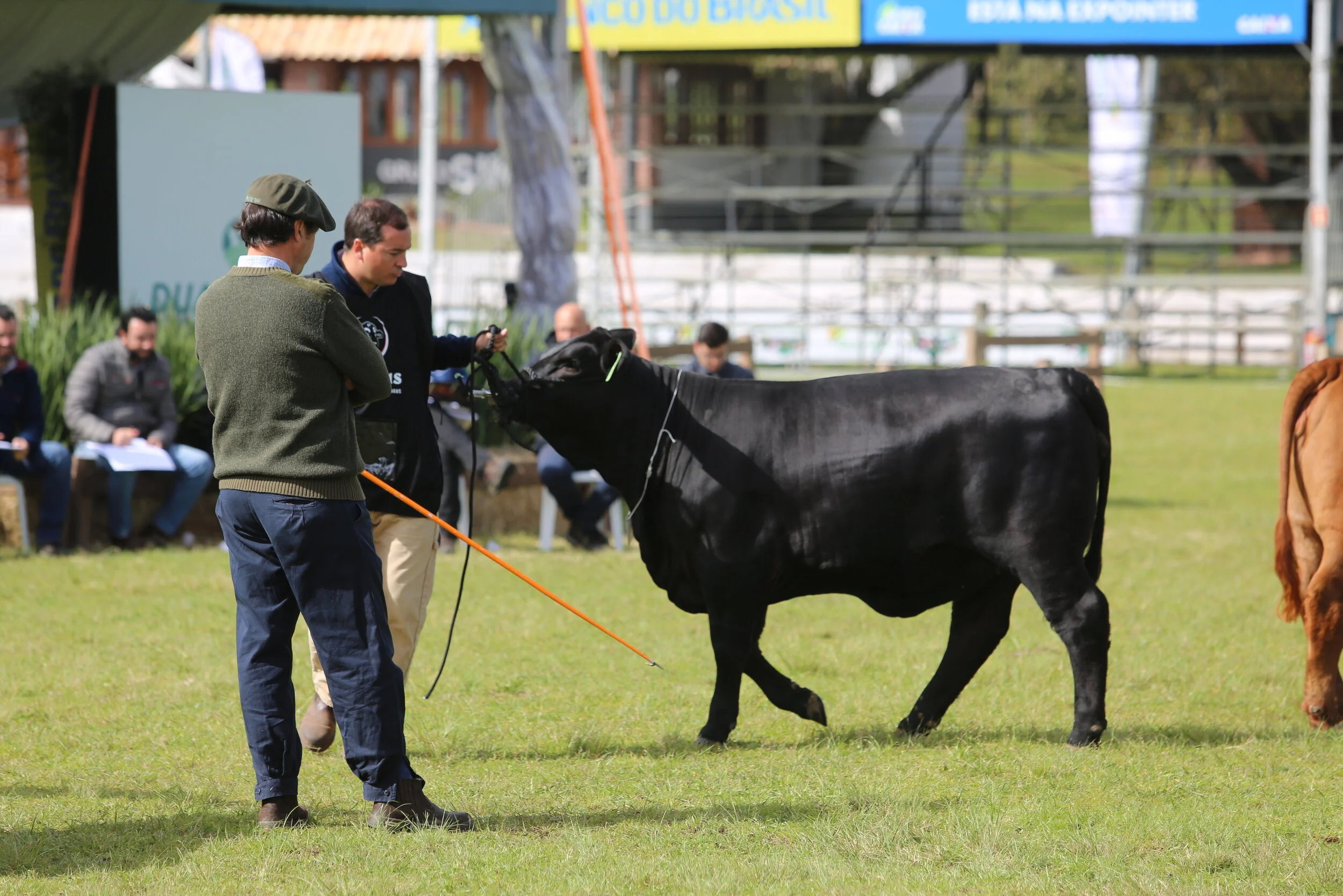 45º Expointer