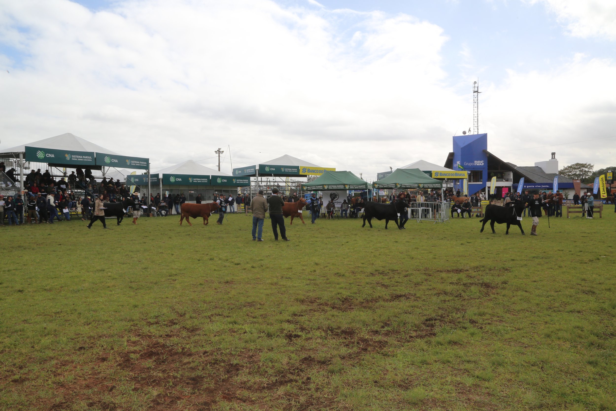 45º Expointer