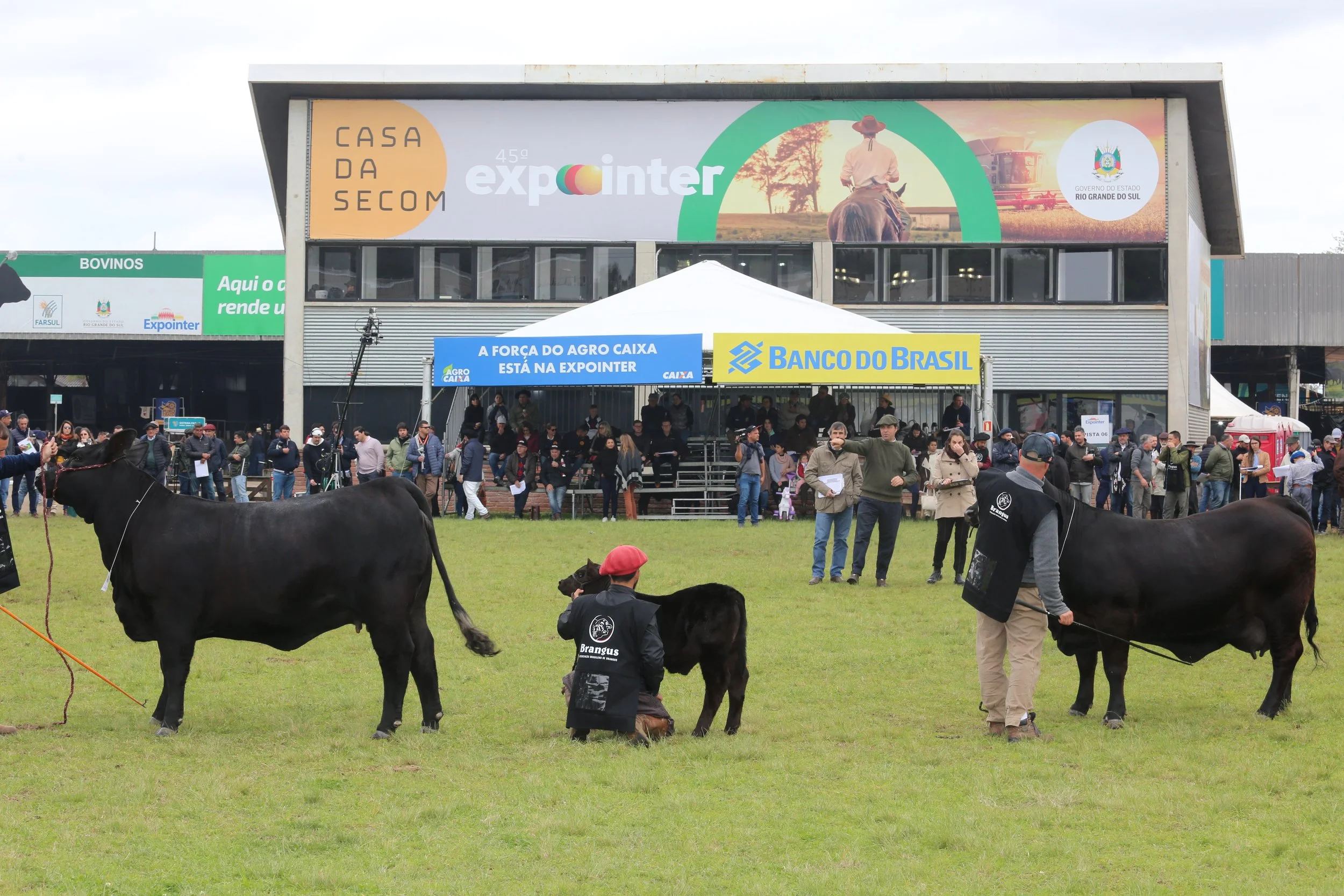 45º Expointer