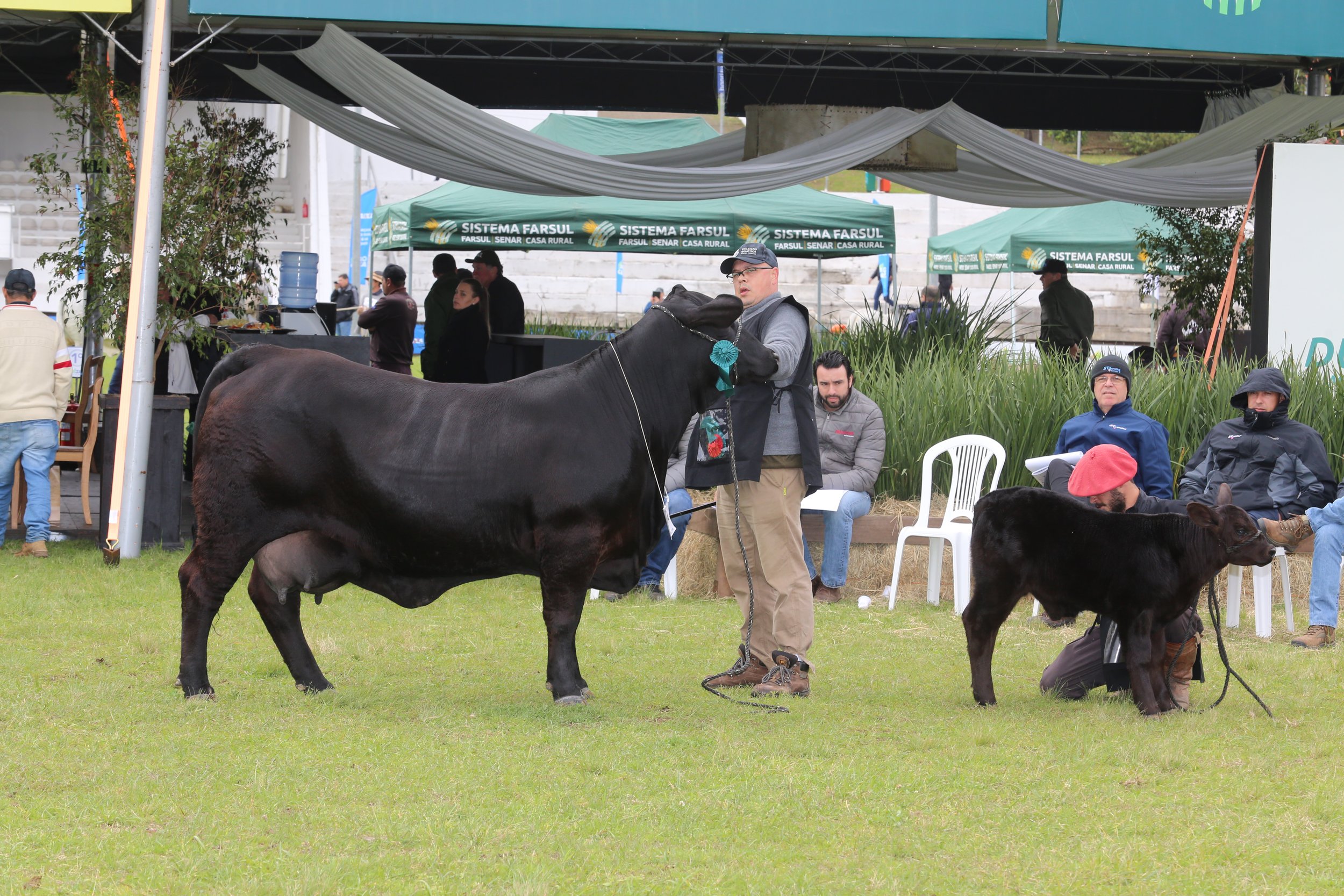 45º Expointer
