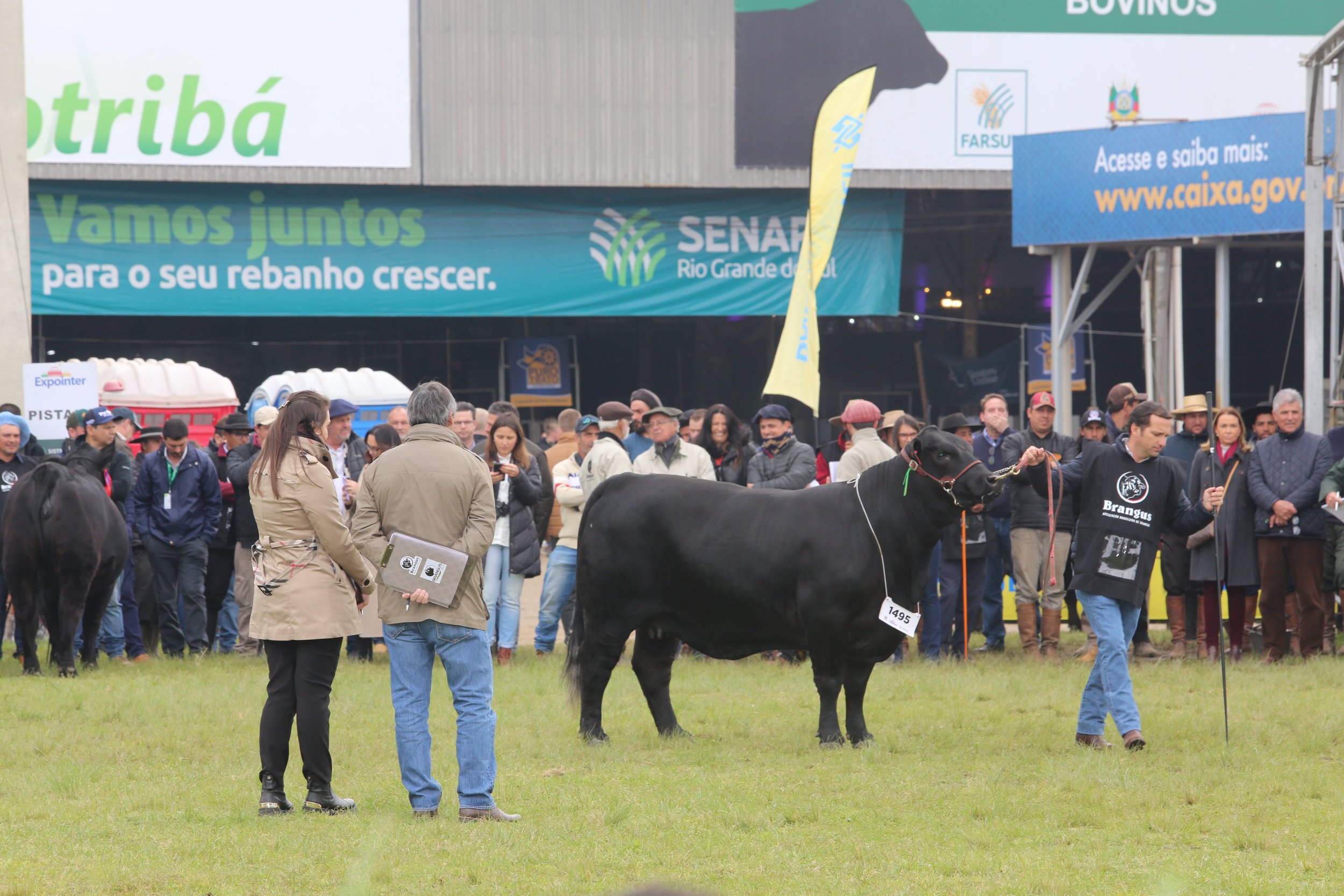 45º Expointer