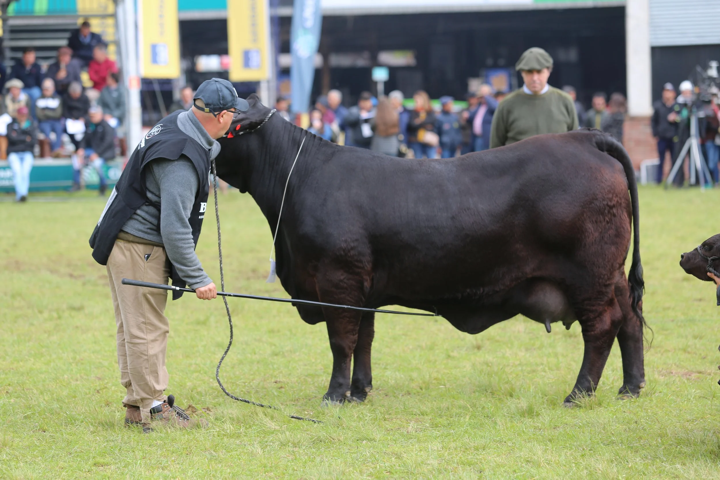 45º Expointer