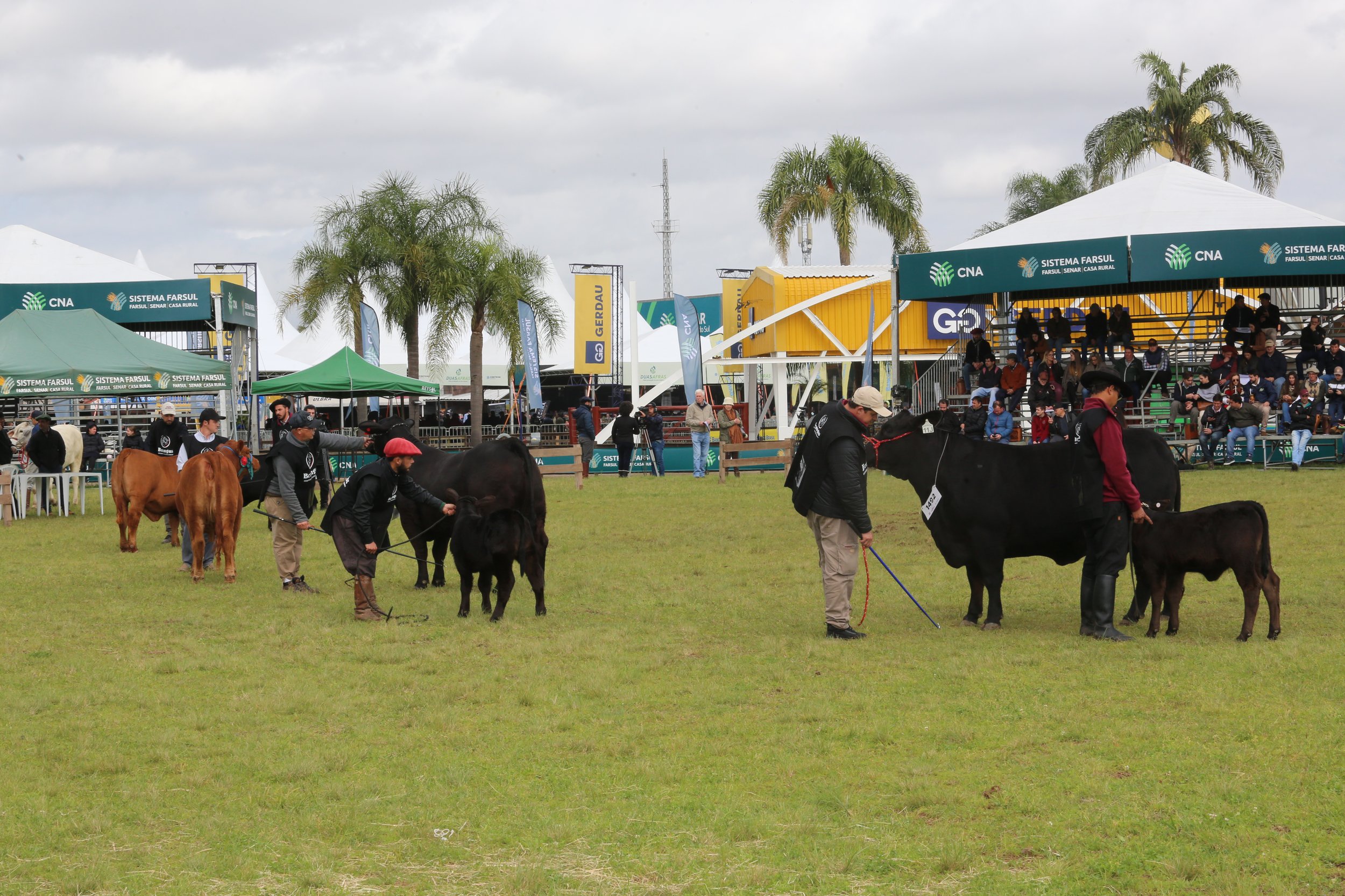 45º Expointer