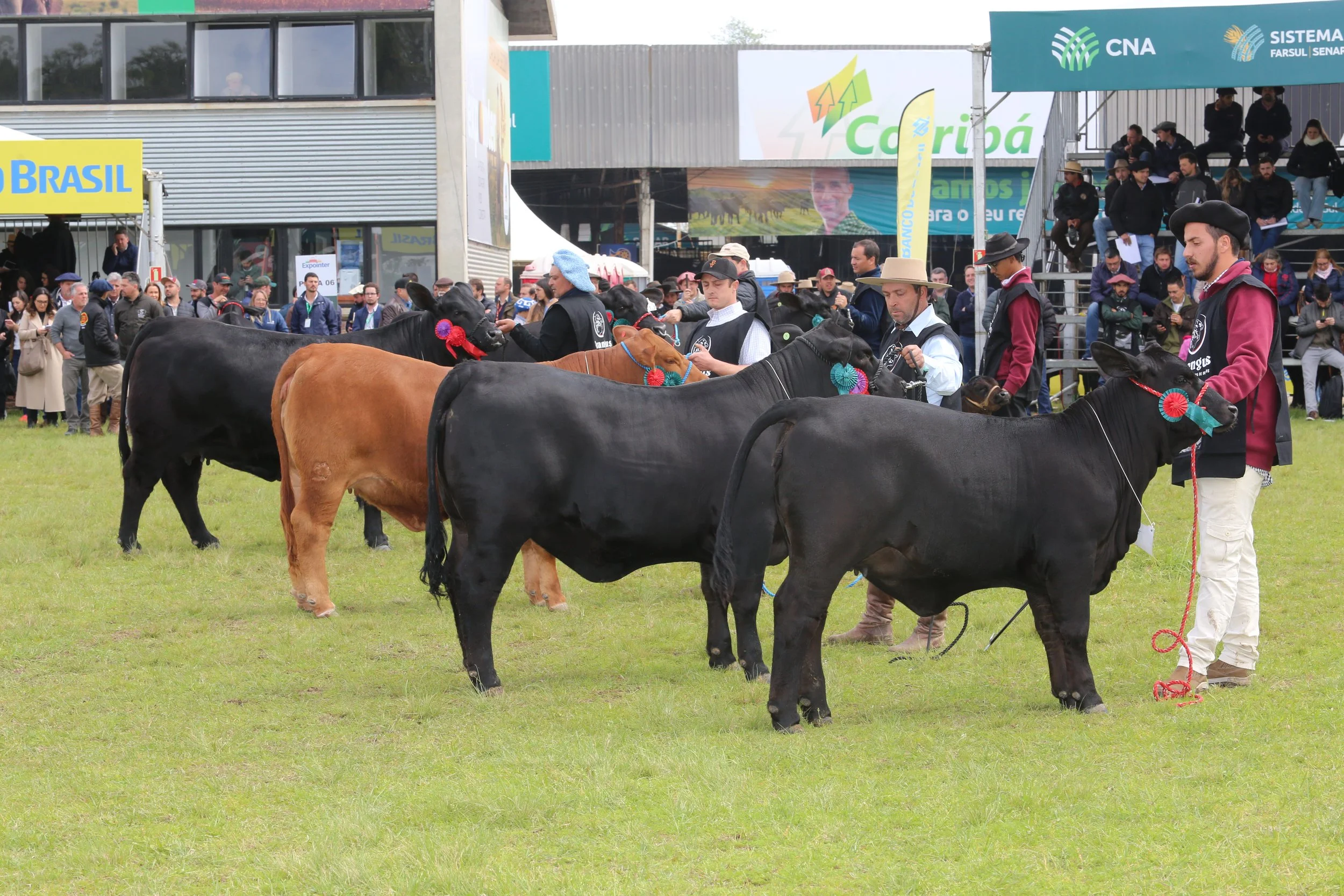 45º Expointer
