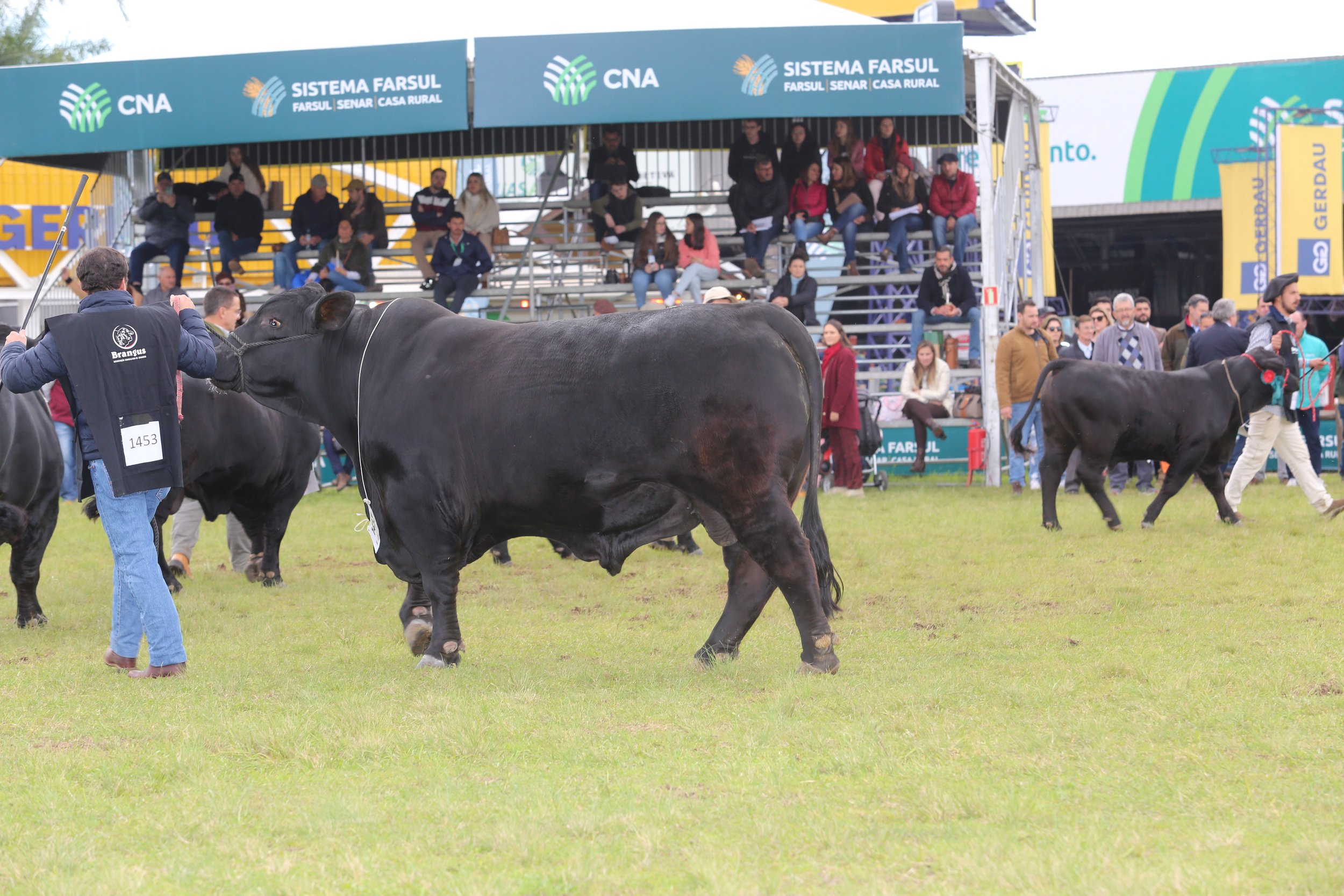 45º Expointer