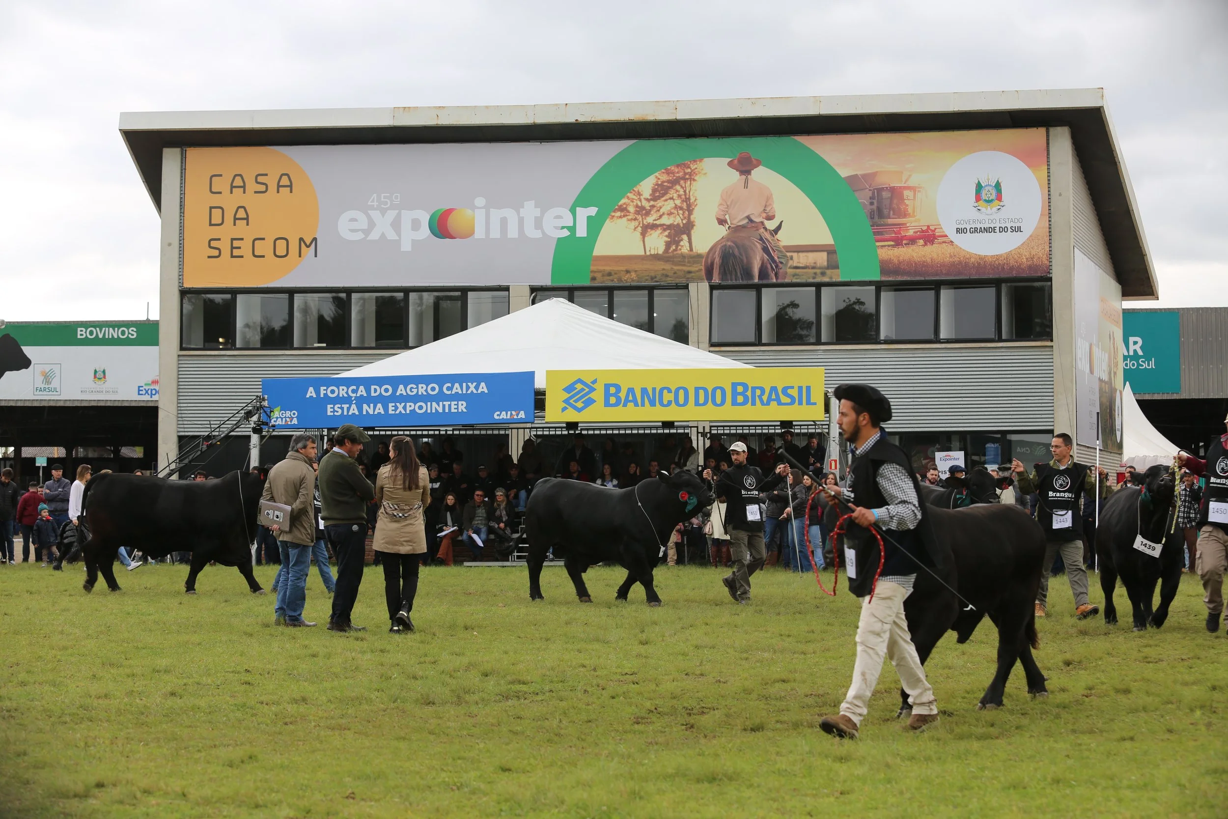 45º Expointer