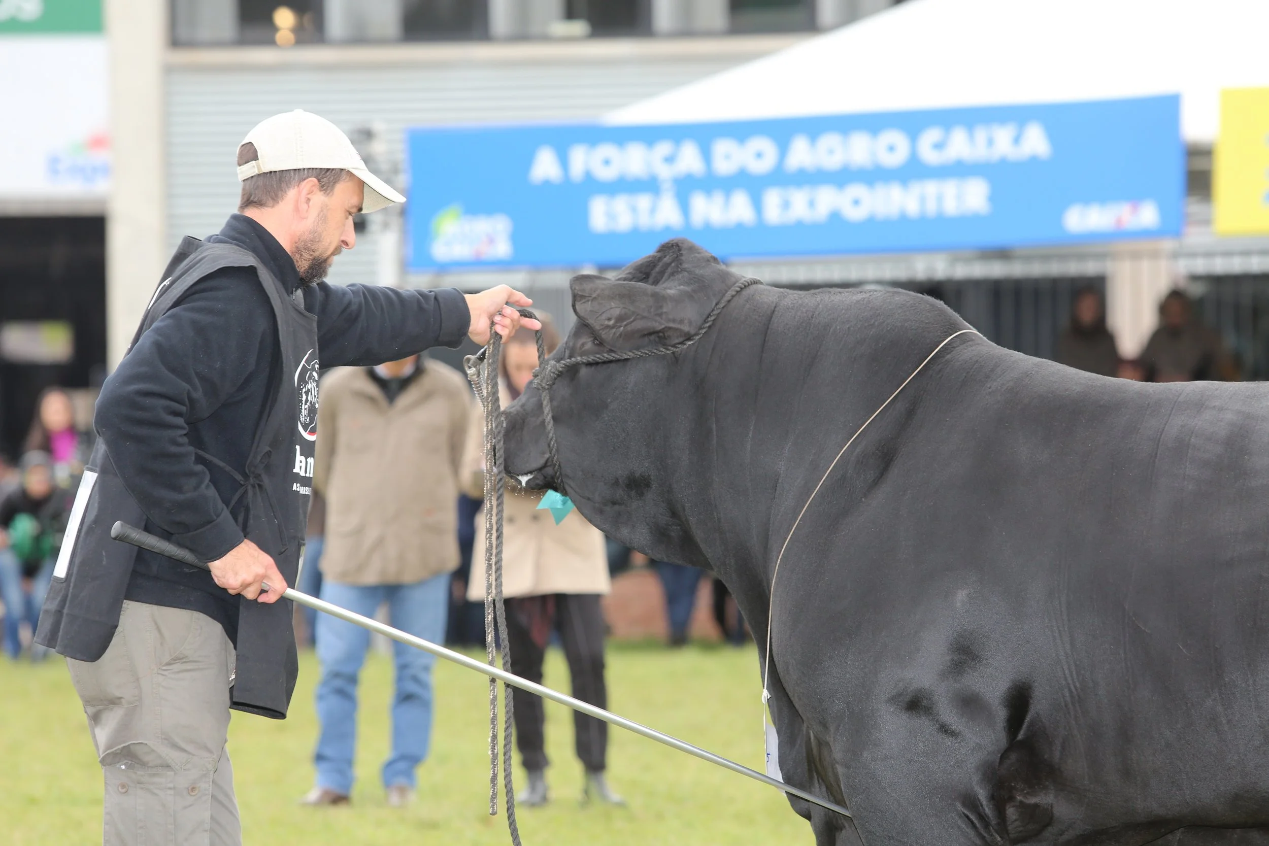 45º Expointer