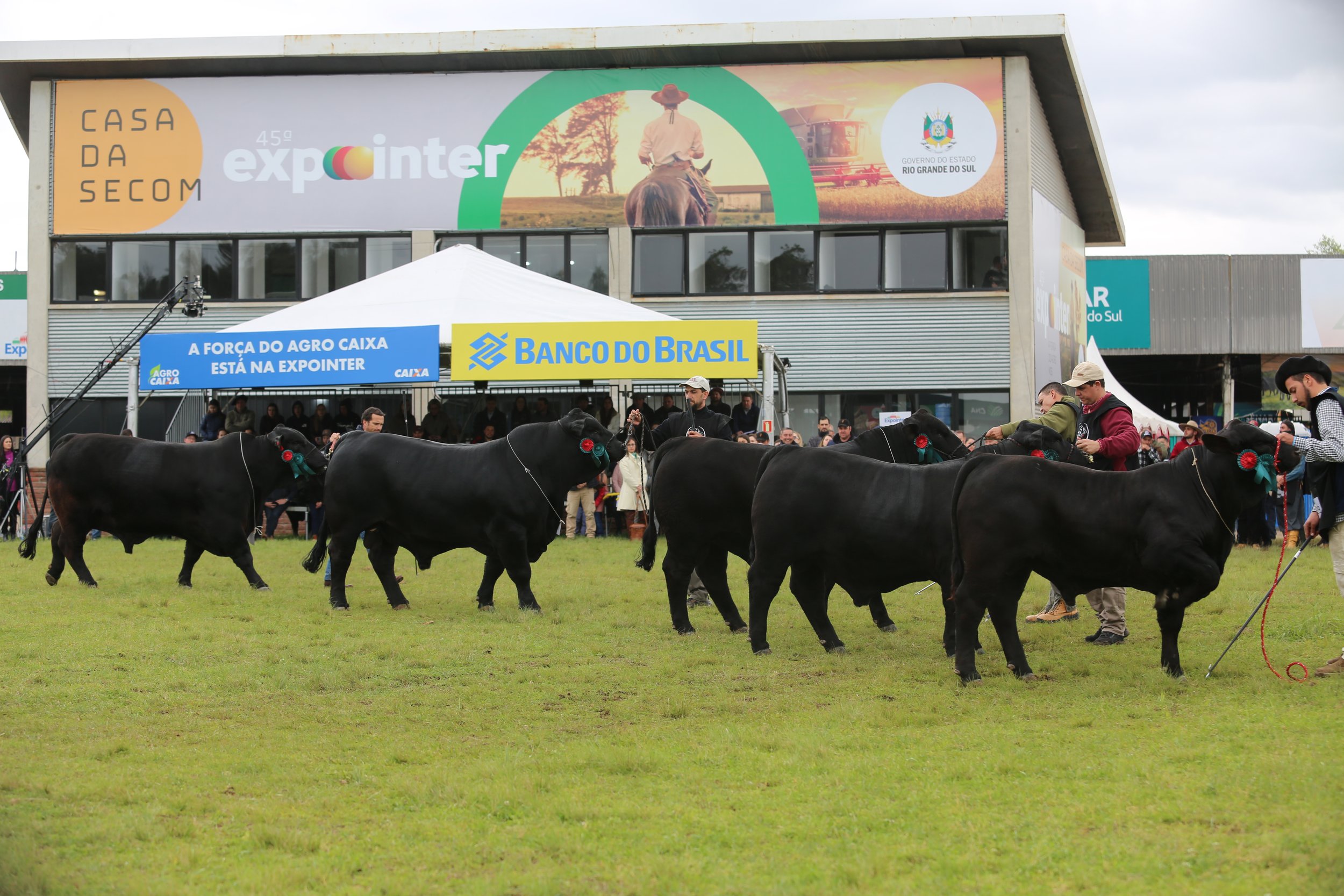 45º Expointer