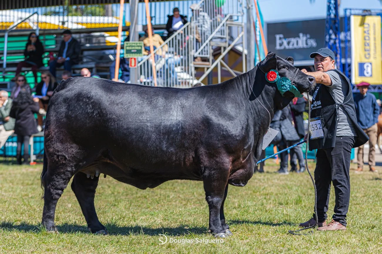 46º Expointer