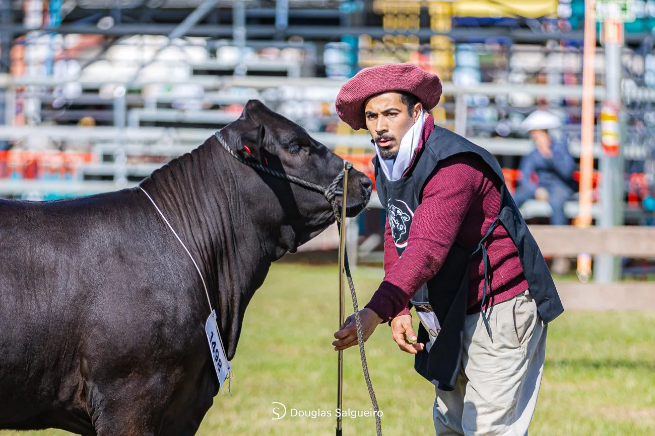 46º Expointer
