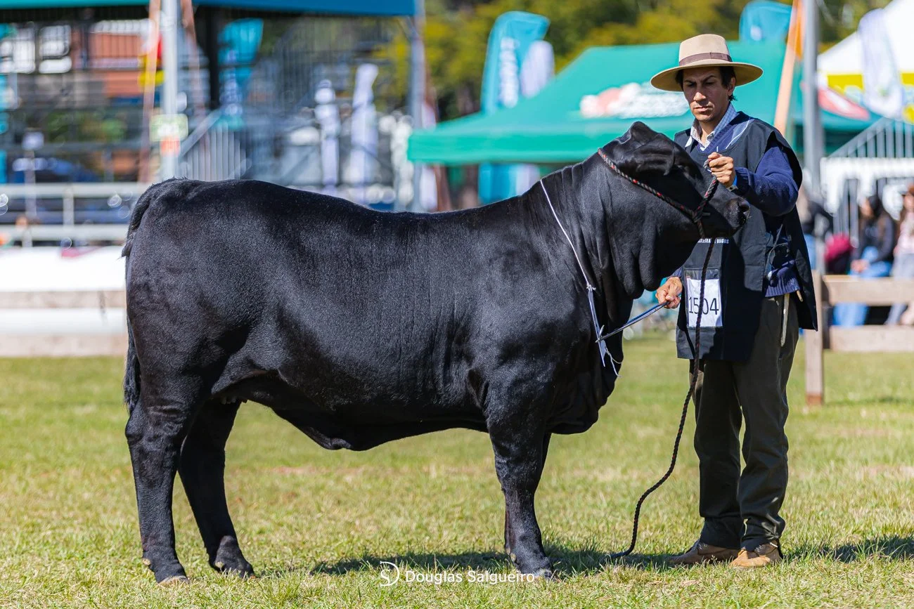 46º Expointer