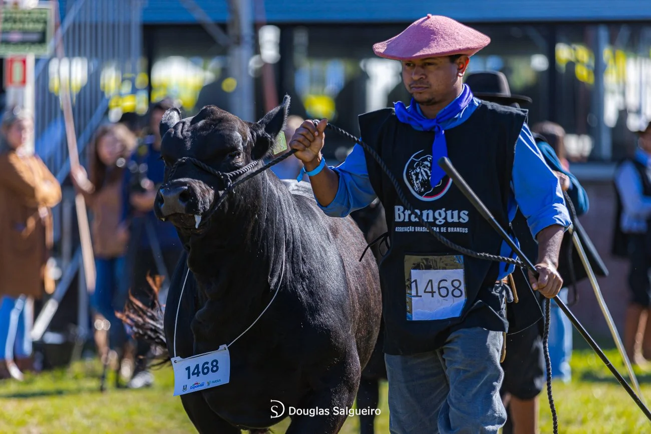 46º Expointer