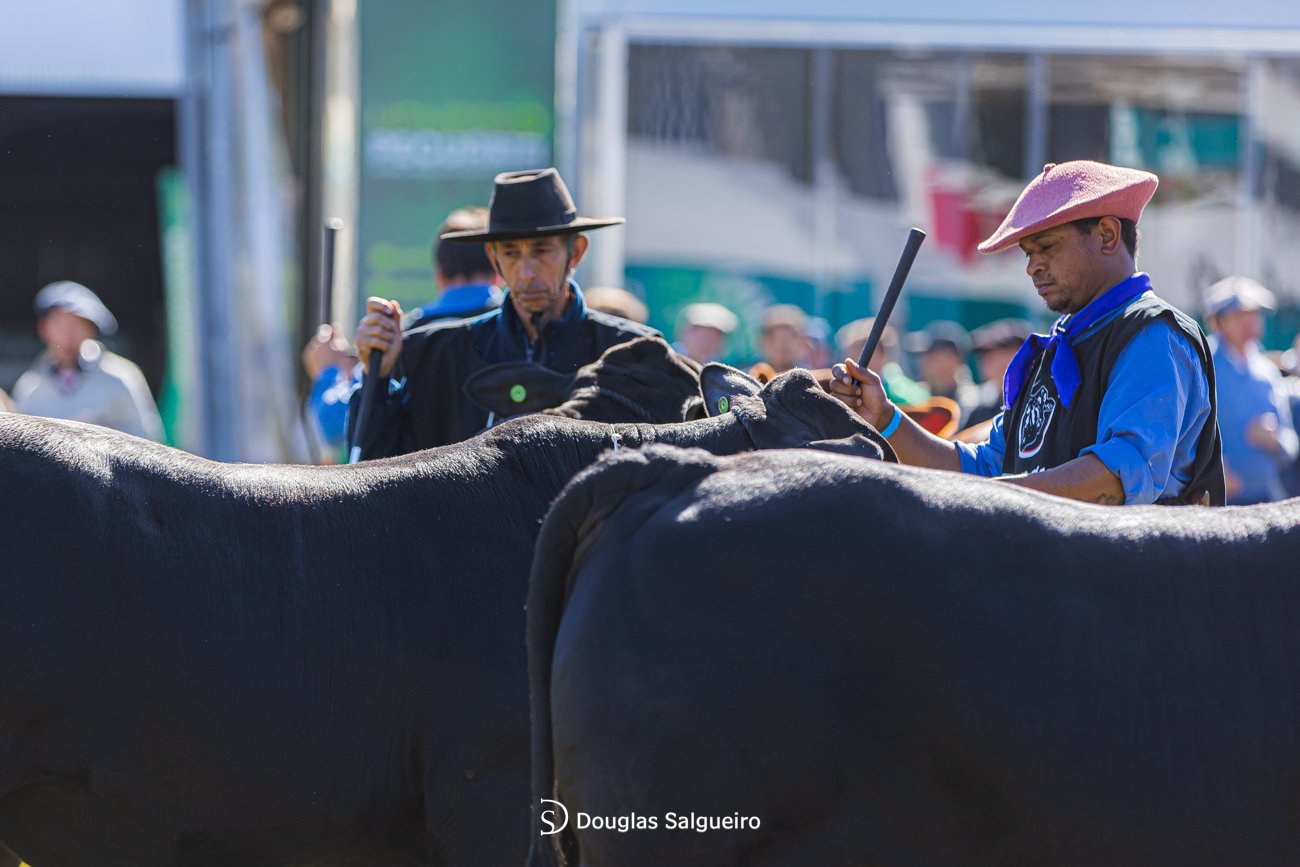 46º Expointer