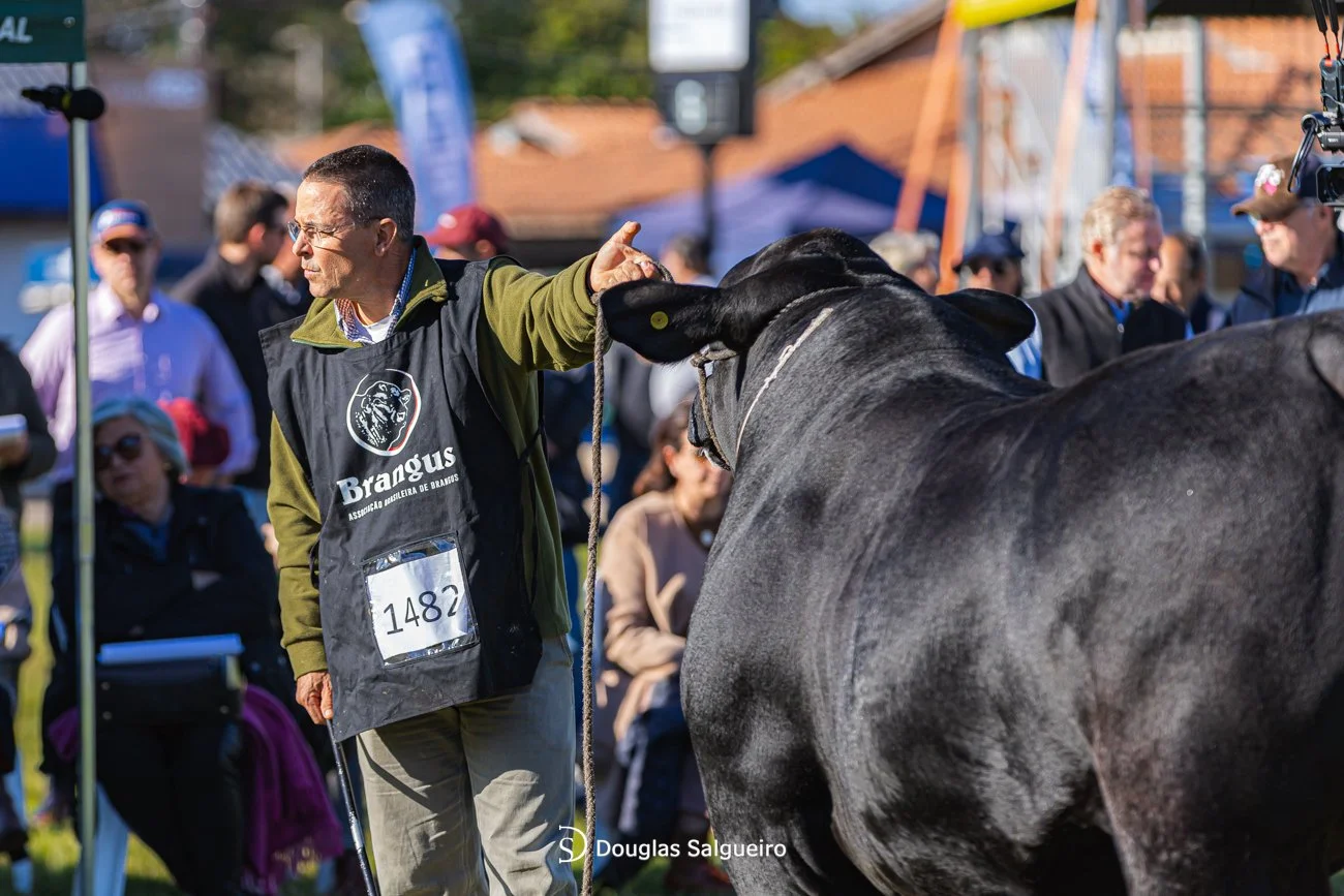 46º Expointer
