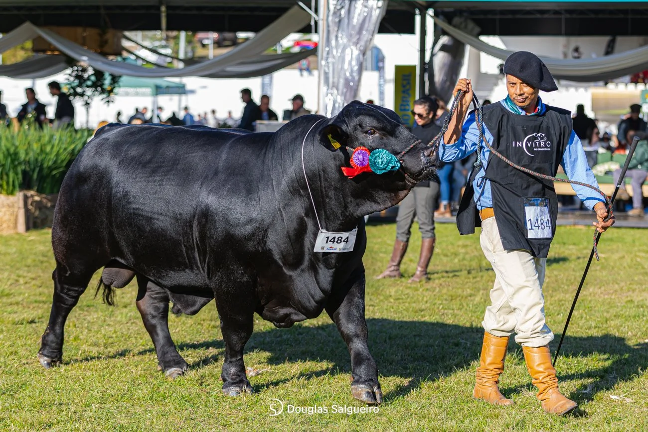 46º Expointer