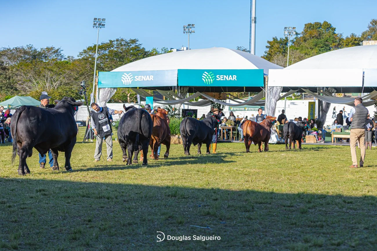46º Expointer