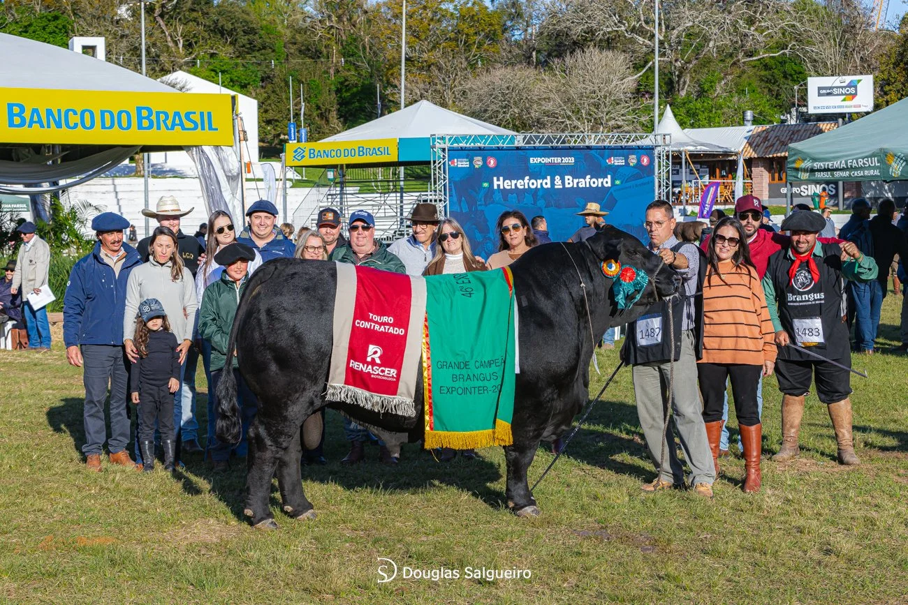   Grande Campeão -  Tat. 1426TE    Criador:  Alex e Viviane Fonseca, Estância Guarita     