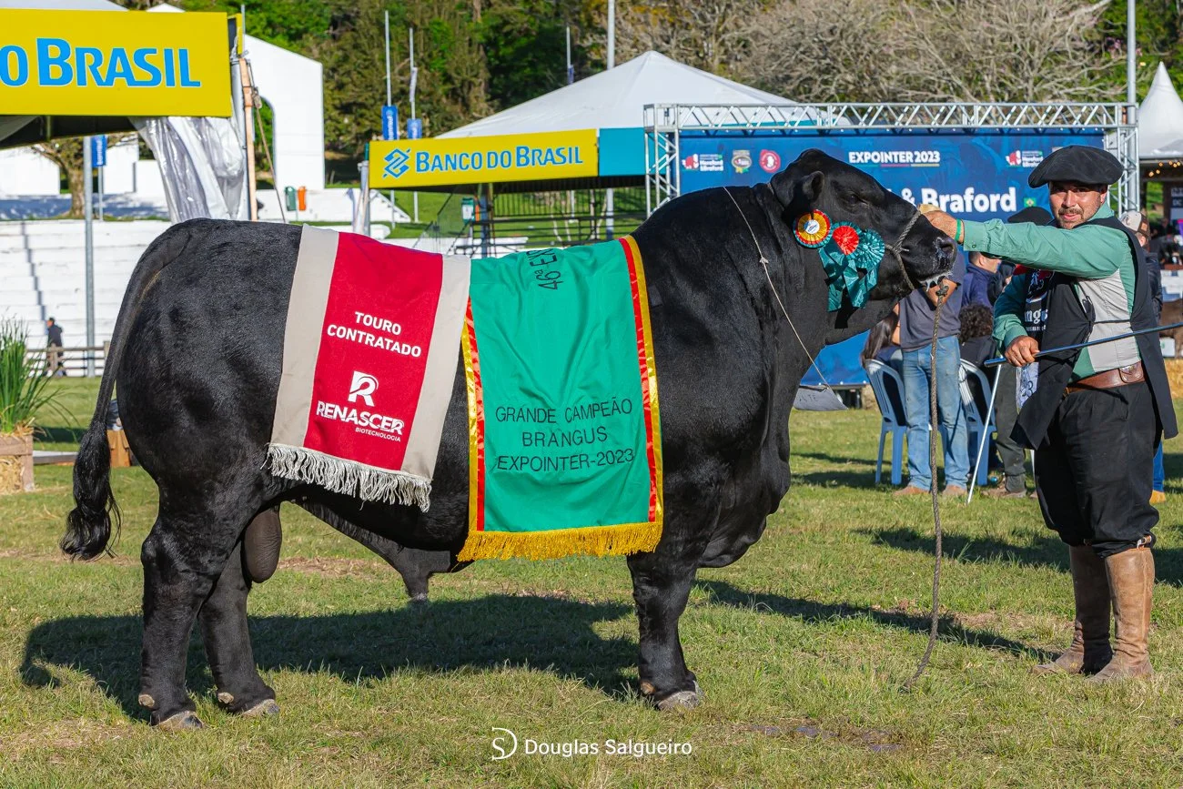 46º Expointer