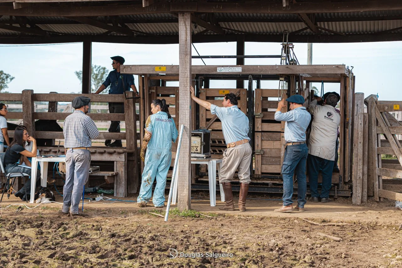 Admissão