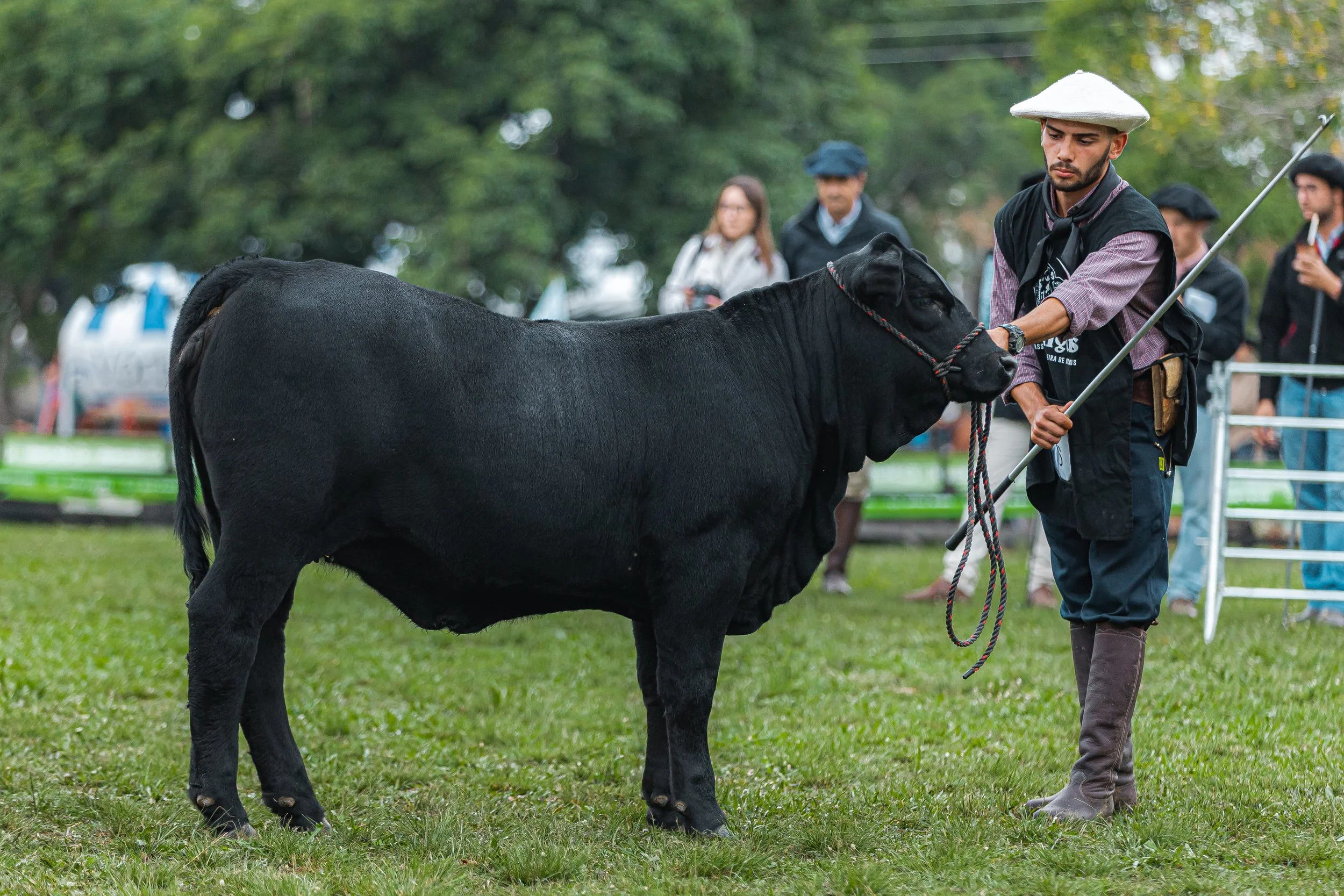Julgamento Argola Júnior