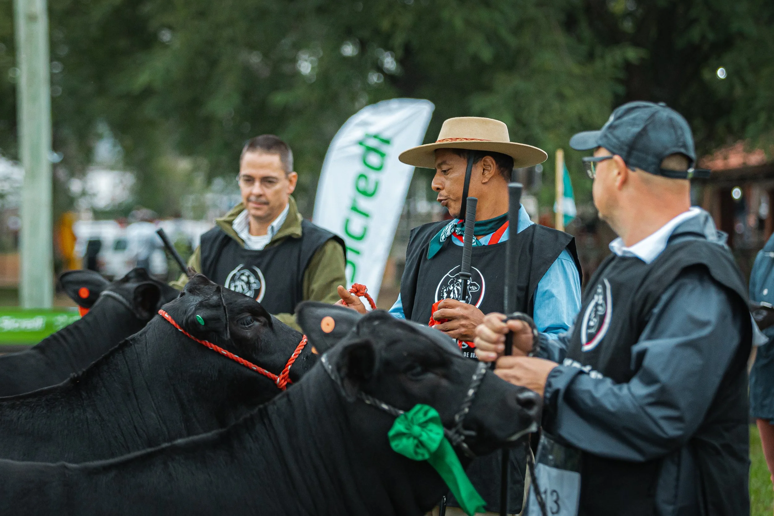 Julgamento Argola Júnior