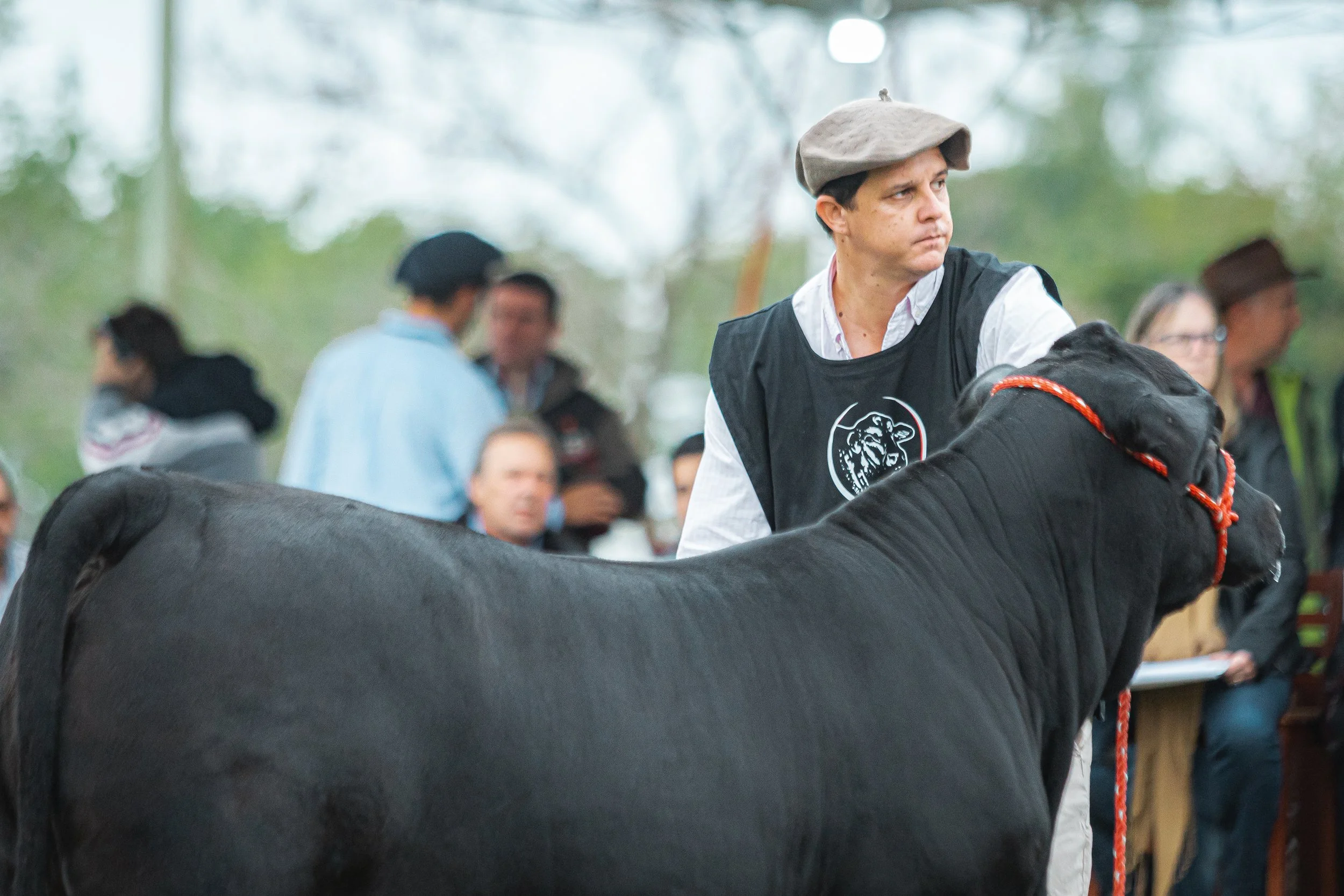 Julgamento Argola Júnior