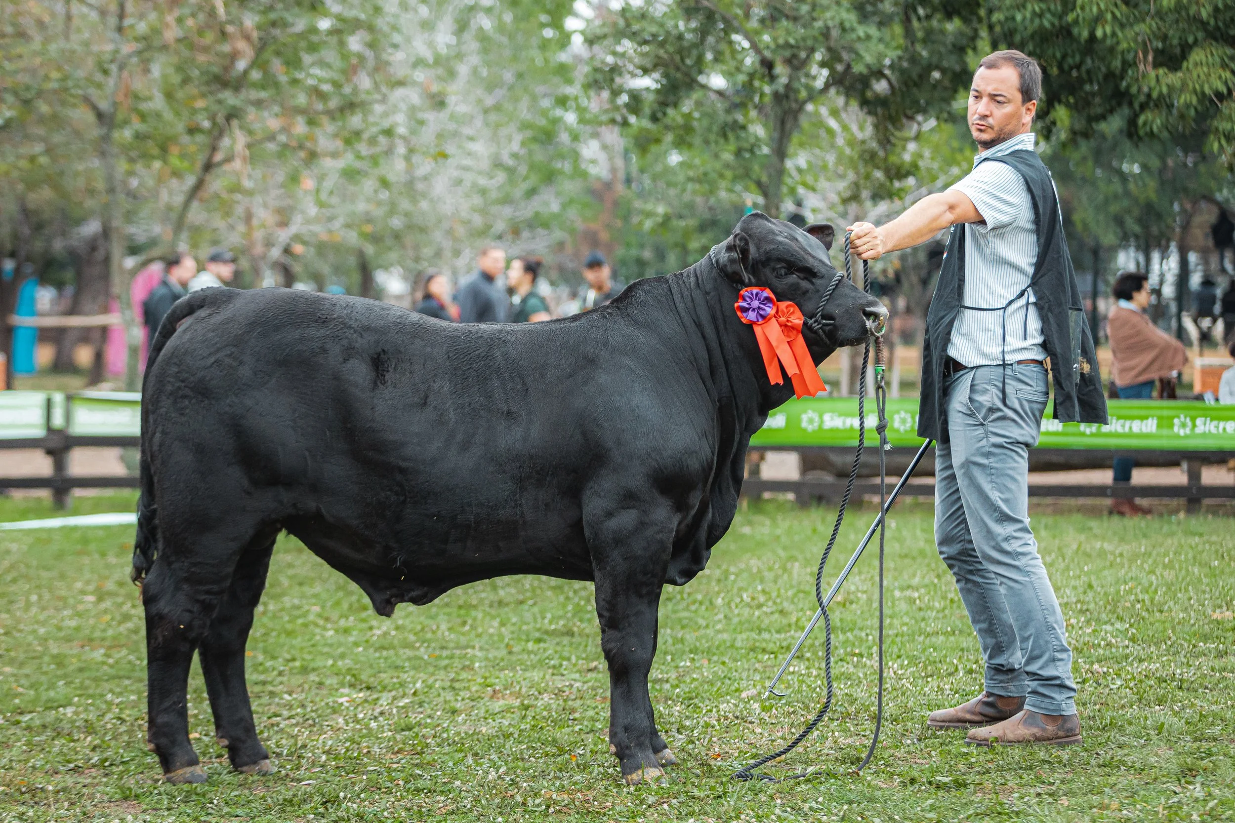 Julgamento Argola Júnior