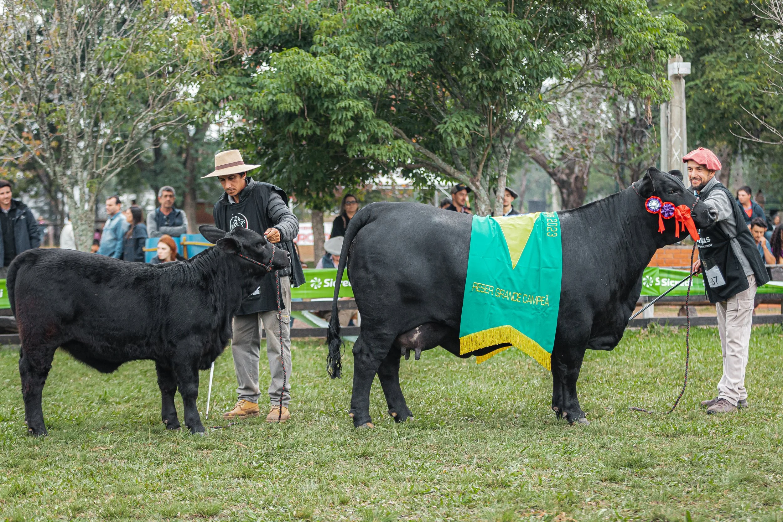 Julgamento Argola