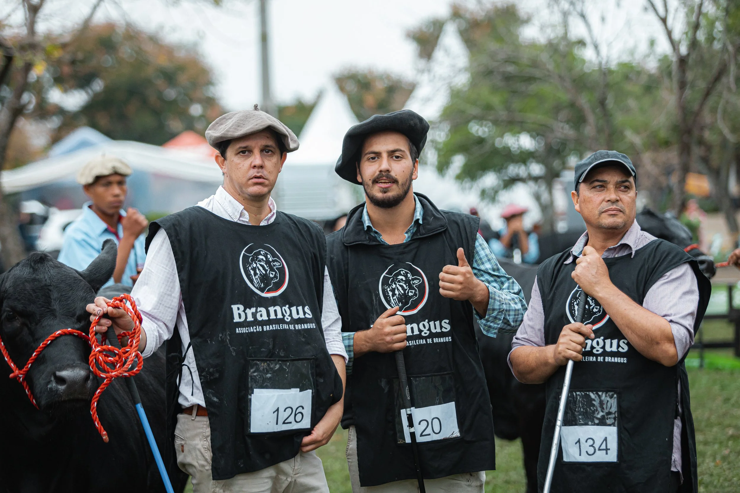 Julgamento Argola