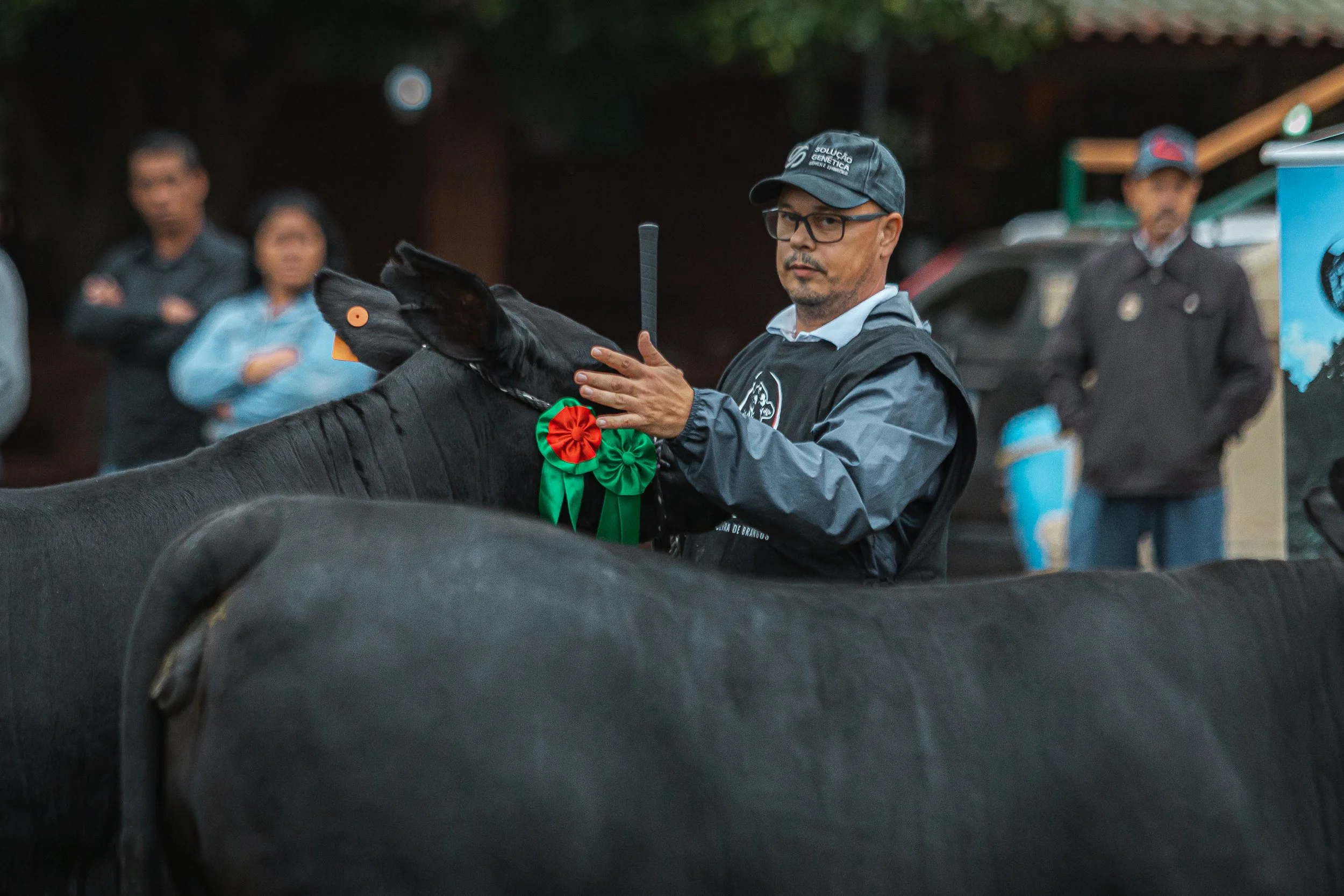 Julgamento Argola