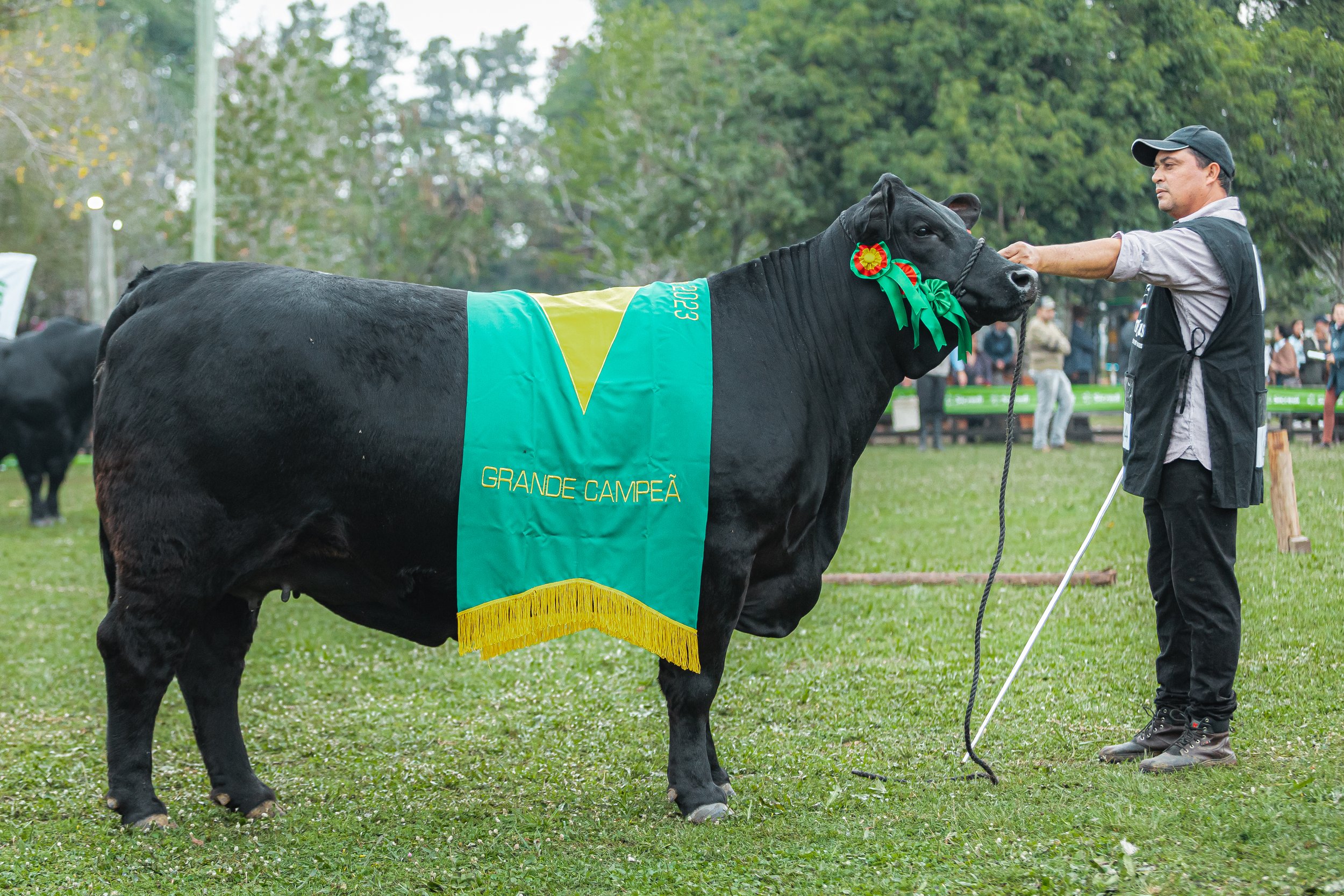 Julgamento Argola