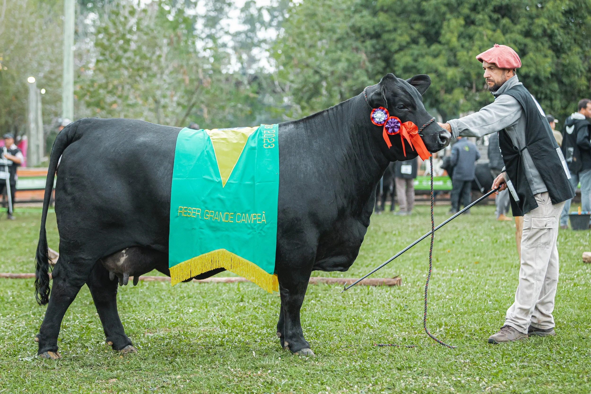 Julgamento Argola