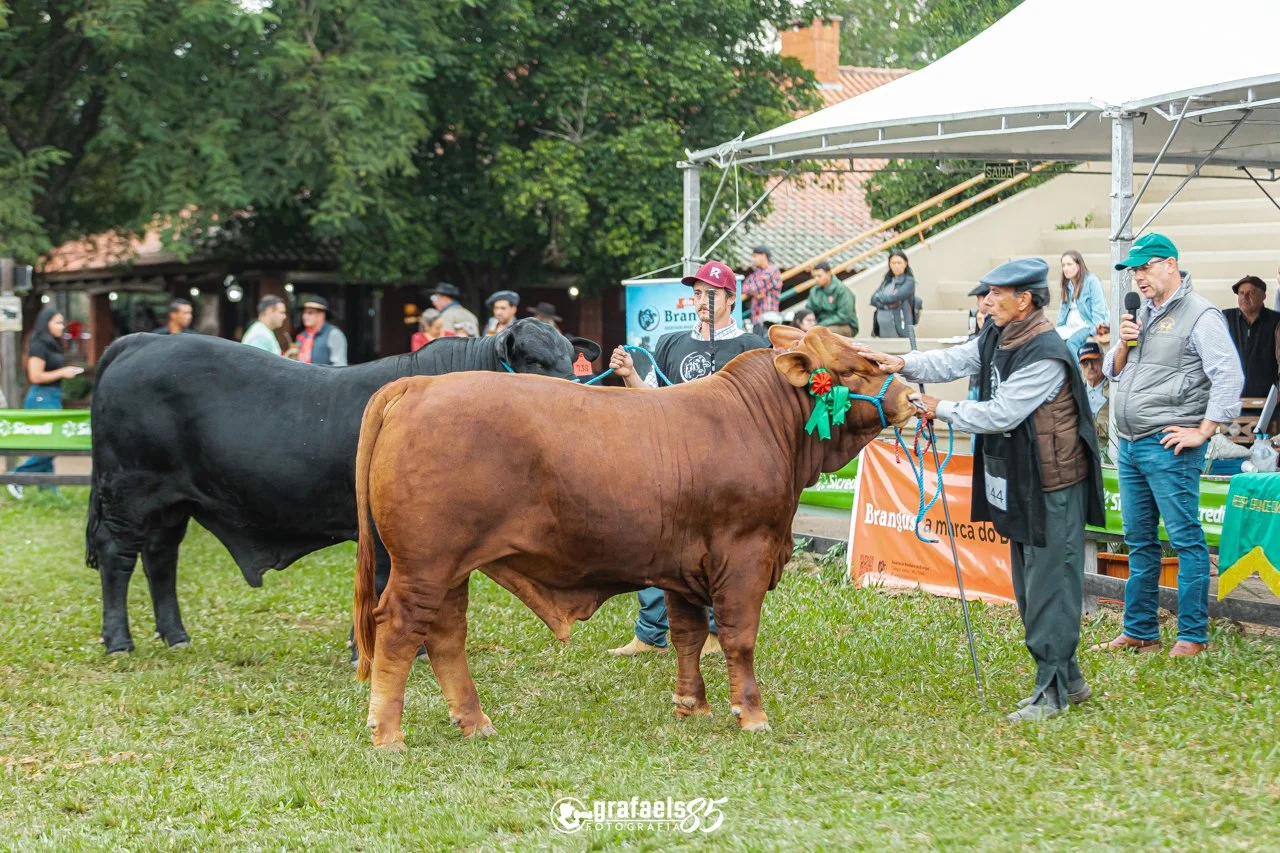 Julgamento Argola