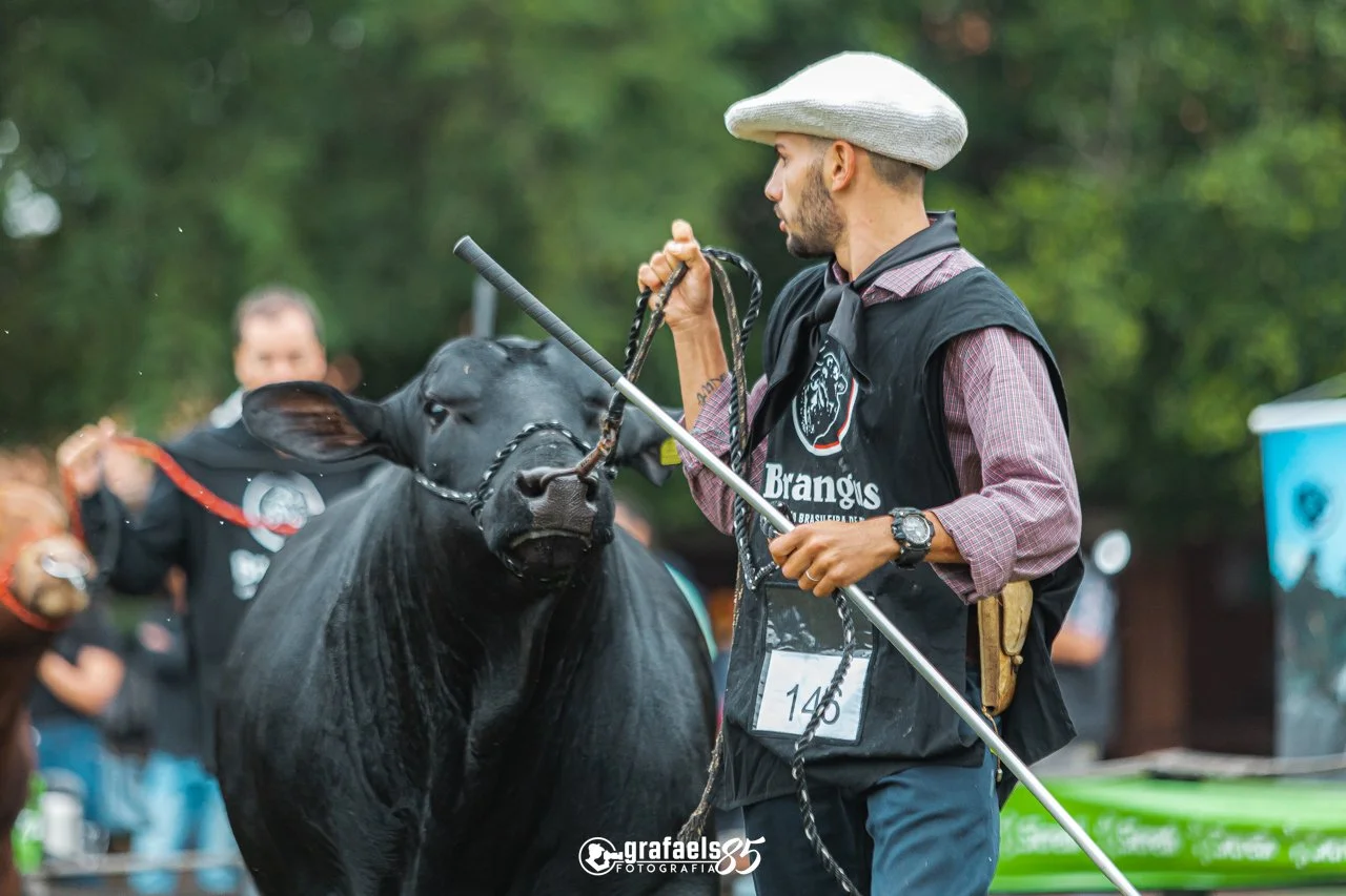 Julgamento Argola