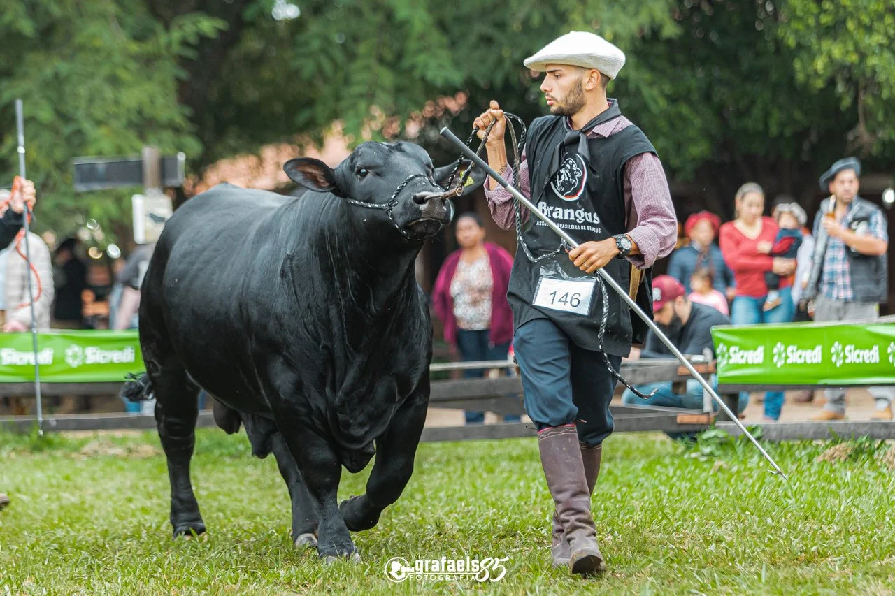 Julgamento Argola