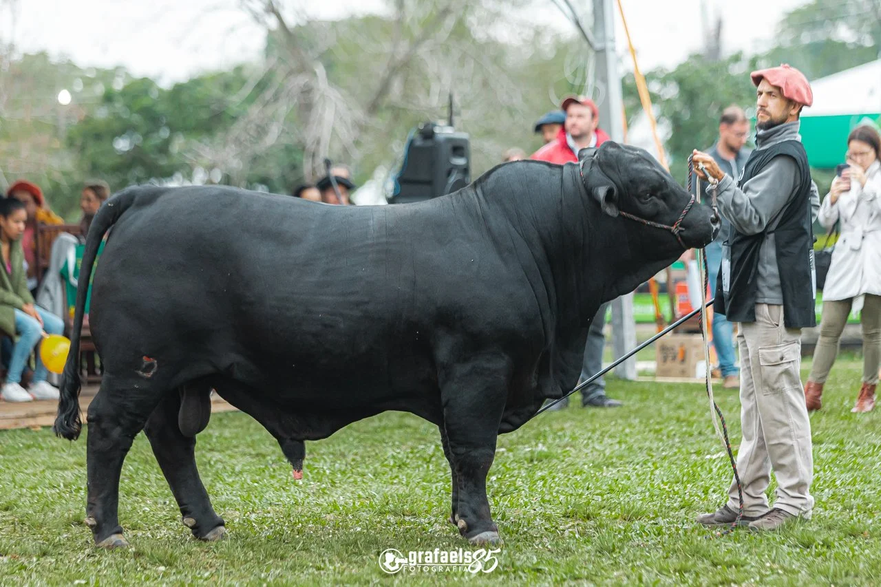 Julgamento Argola