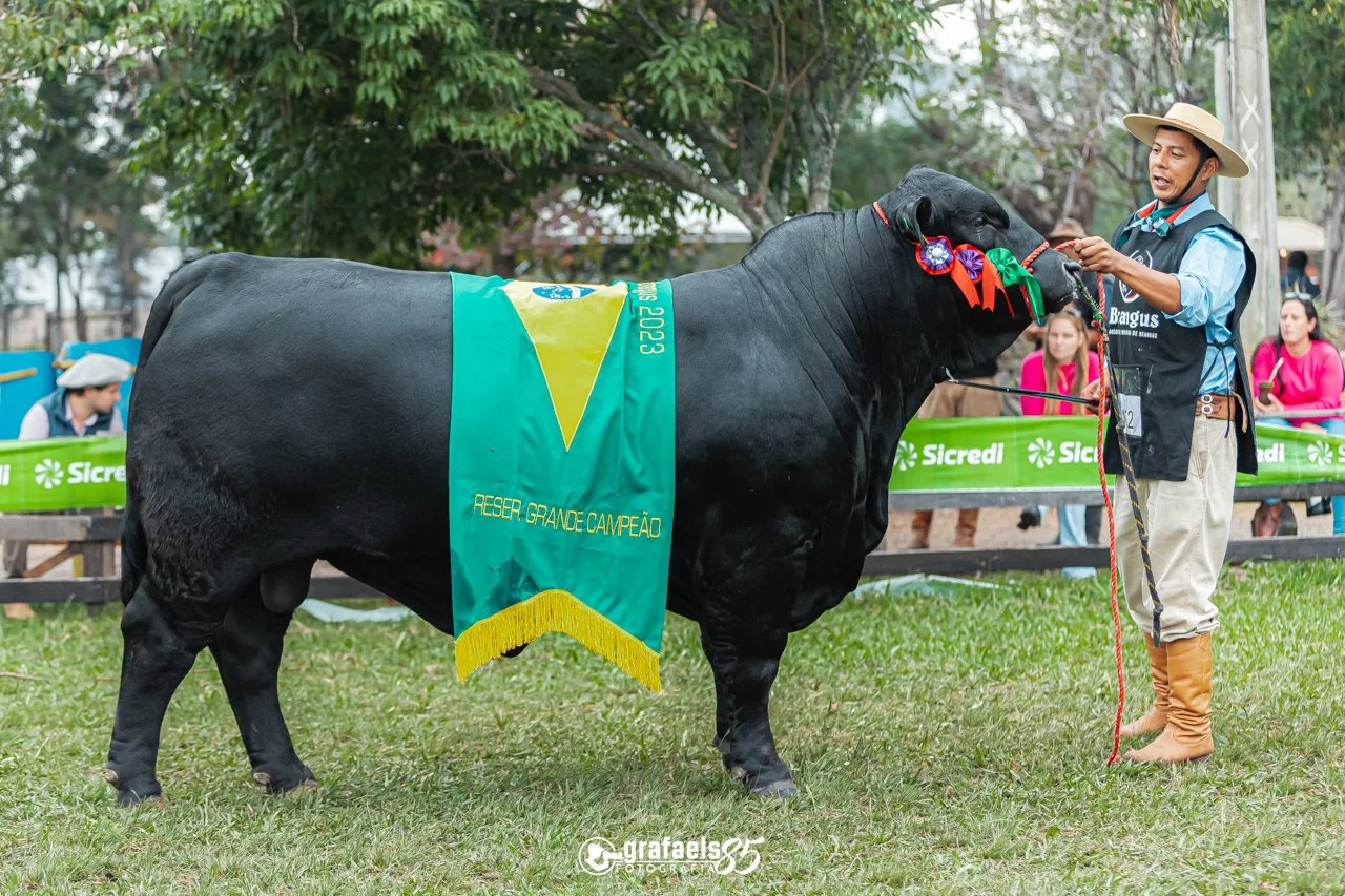 Julgamento Argola