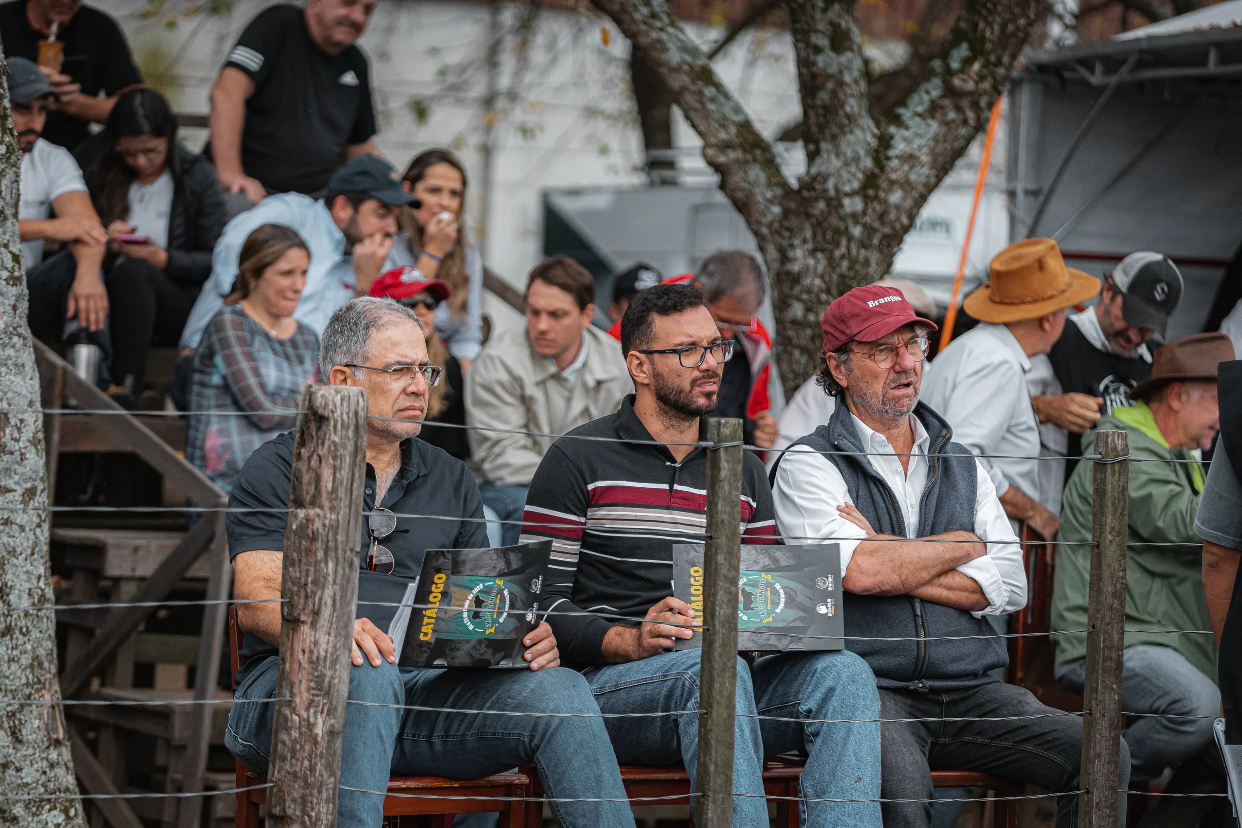 Julgamento dos Rústicos