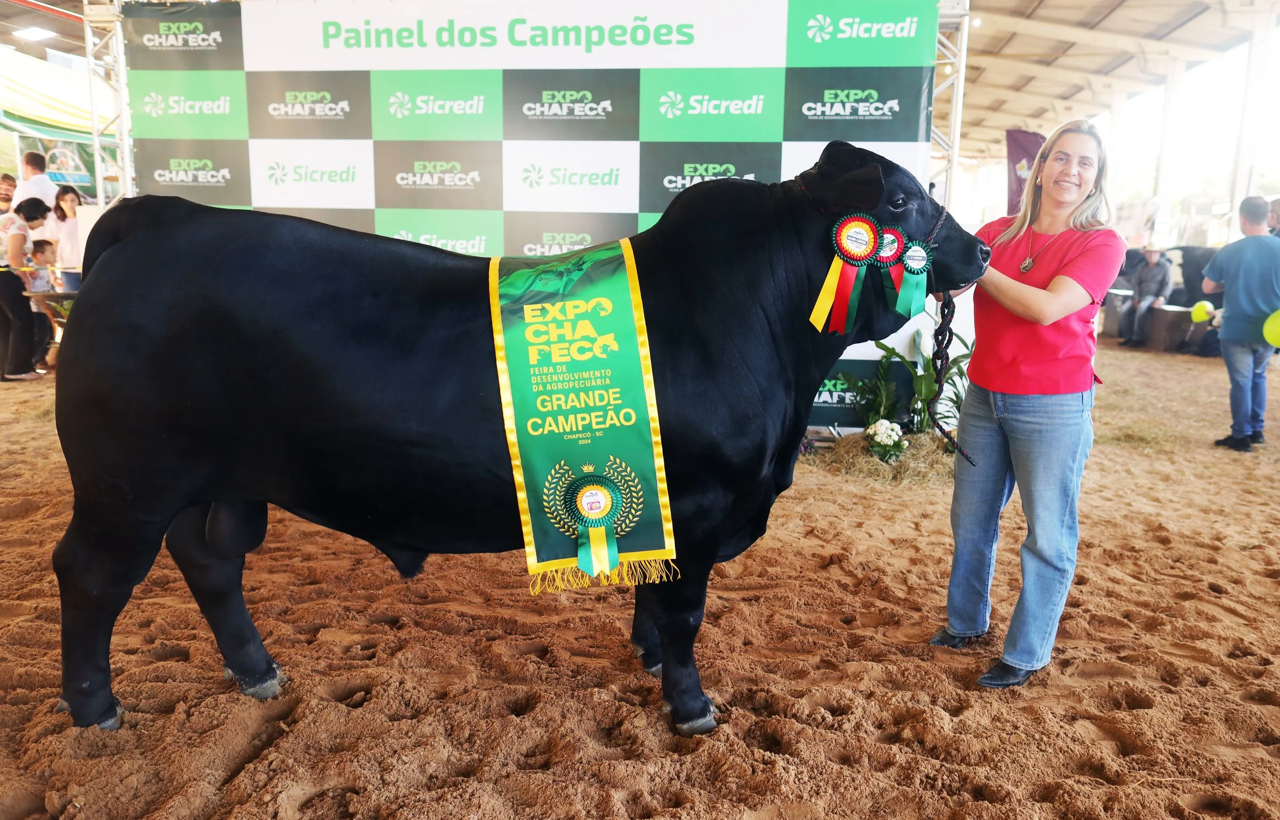 Vacacaí, Soldera e La Reina vencem na pista de argola em SC Grande Campeão foi o touro do box 54 (tatuagem 2137), da Cabanha La Reina