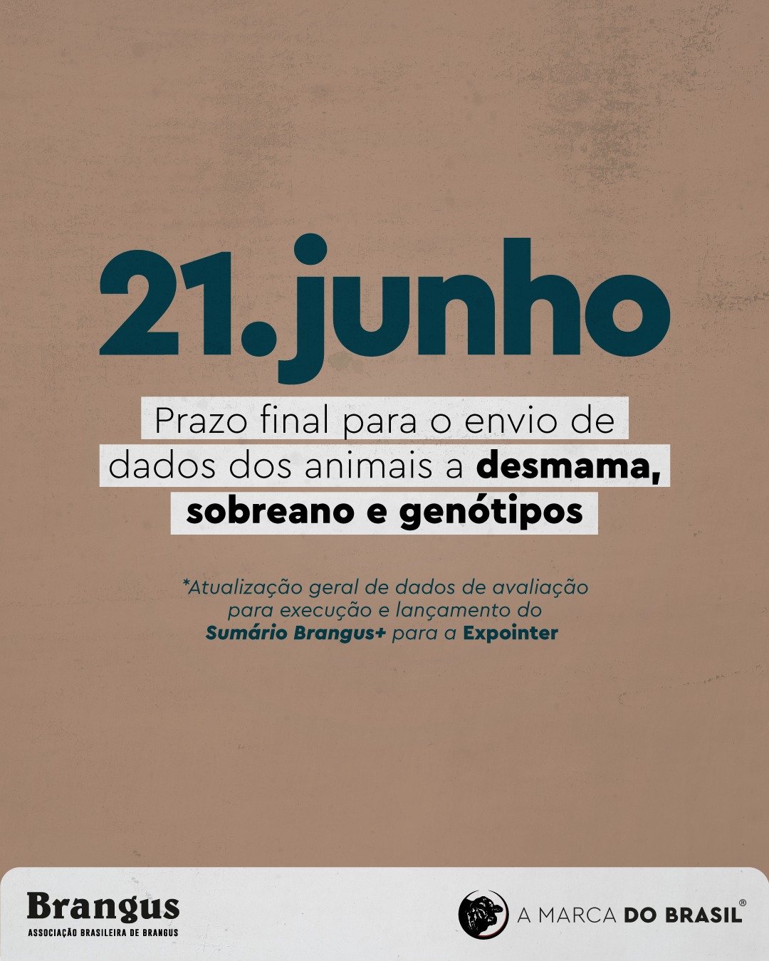 Quer que as informa&ccedil;&otilde;es de seus animais constem no Sum&aacute;rio Brangus+ para a Expointer? Ent&atilde;o, aten&ccedil;&atilde;o ao prazo!!

Os dados a desmama, sobreano e gen&oacute;tipo devem ser enviados at&eacute; o dia 21 de junho.