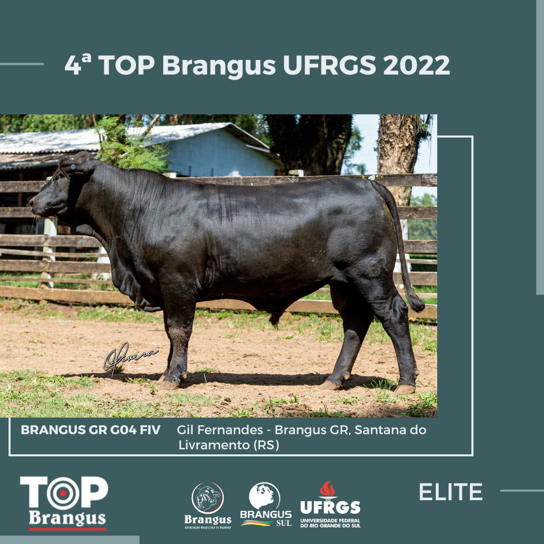 ABB e UFRGS divulgam os resultados da 4ª Prova Top Brangus UFRGS 2022 ABB e UFRGS divulgam os resultados da 4ª Prova Top Brangus UFRGS 2022