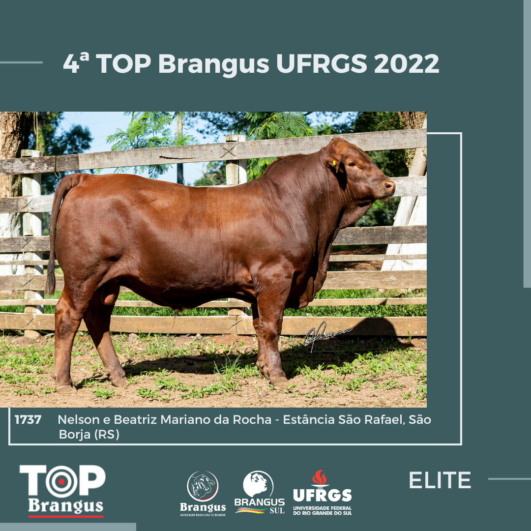 ABB e UFRGS divulgam os resultados da 4ª Prova Top Brangus UFRGS 2022 ABB e UFRGS divulgam os resultados da 4ª Prova Top Brangus UFRGS 2022