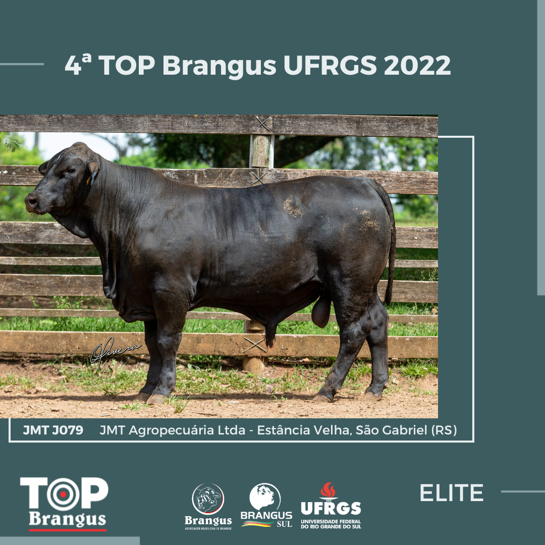 ABB e UFRGS divulgam os resultados da 4ª Prova Top Brangus UFRGS 2022 ABB e UFRGS divulgam os resultados da 4ª Prova Top Brangus UFRGS 2022