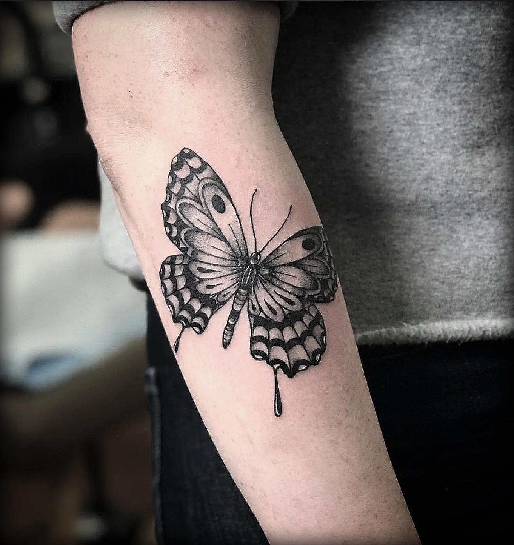 butterfly.jpg